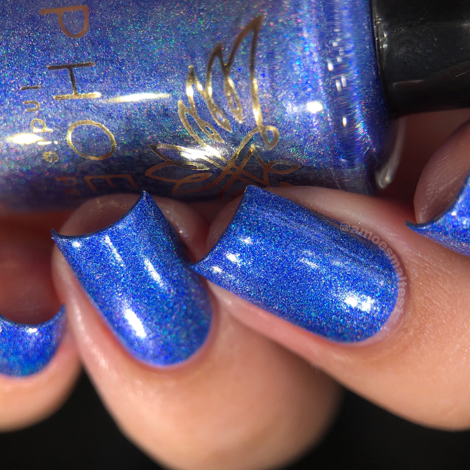 Phoenix- Blood and Fire- Ice Dragon