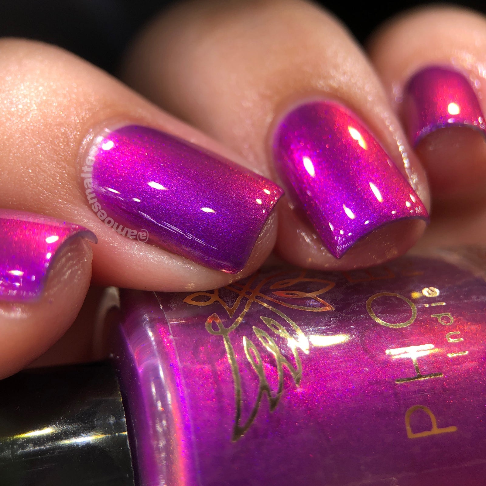 Phoenix- A Special Christmas- Raise Your Hands