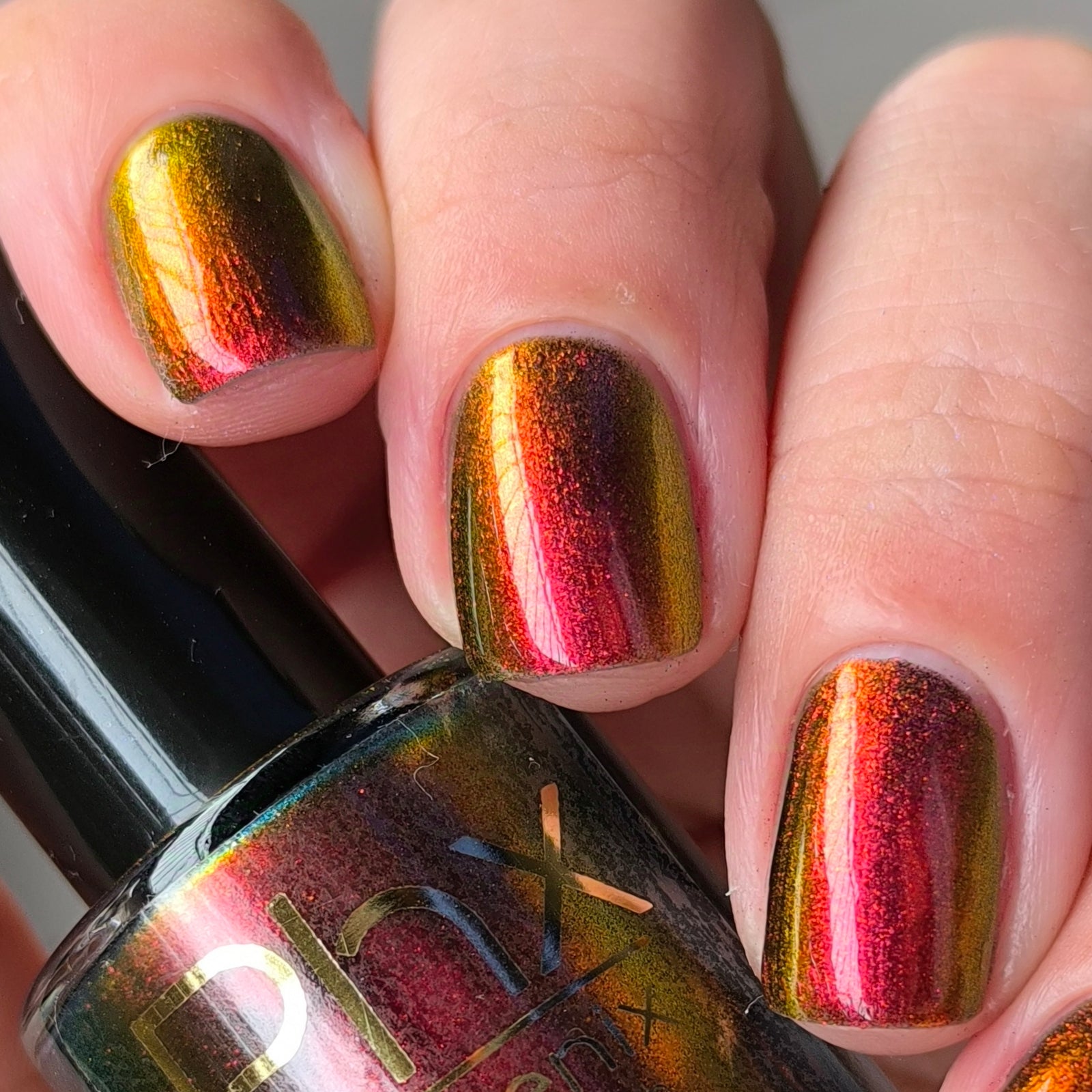 Phoenix- Hummingbirds- Stripe Tailed Hummingbird