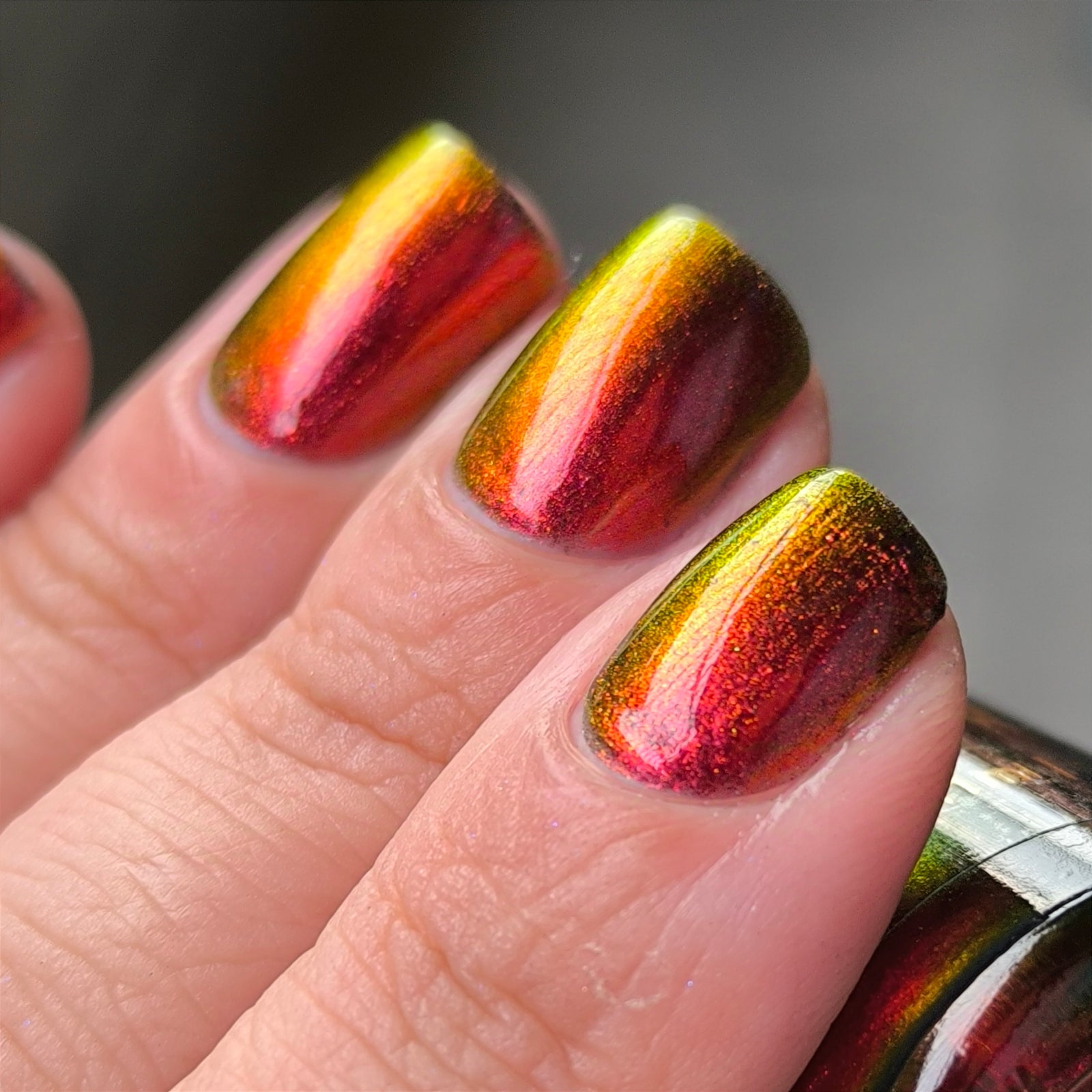 Phoenix- Hummingbirds- Stripe Tailed Hummingbird