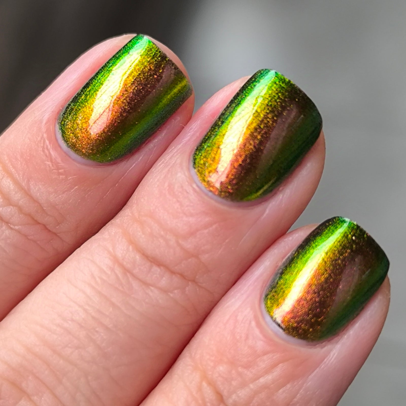 Phoenix- Hummingbirds- Ruby Throated Hummingbird