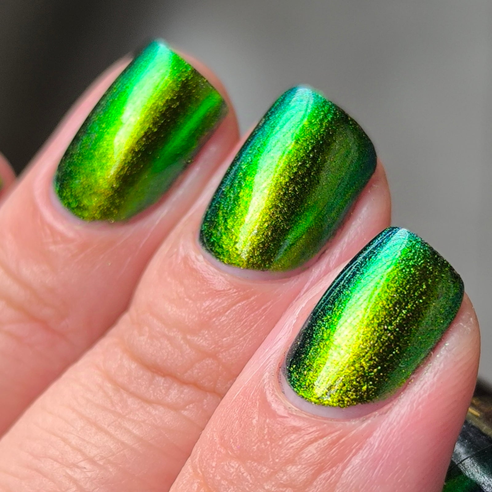 Phoenix- Hummingbirds- Green Breasted Mango