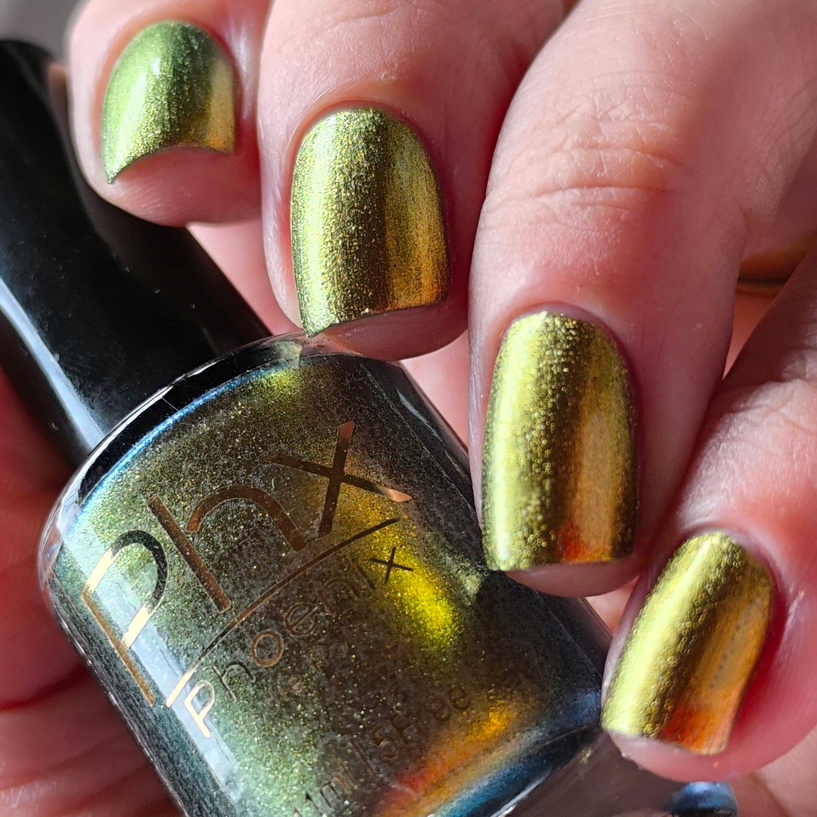 Phoenix- Hummingbirds- Golden Bellied Starfrontlet