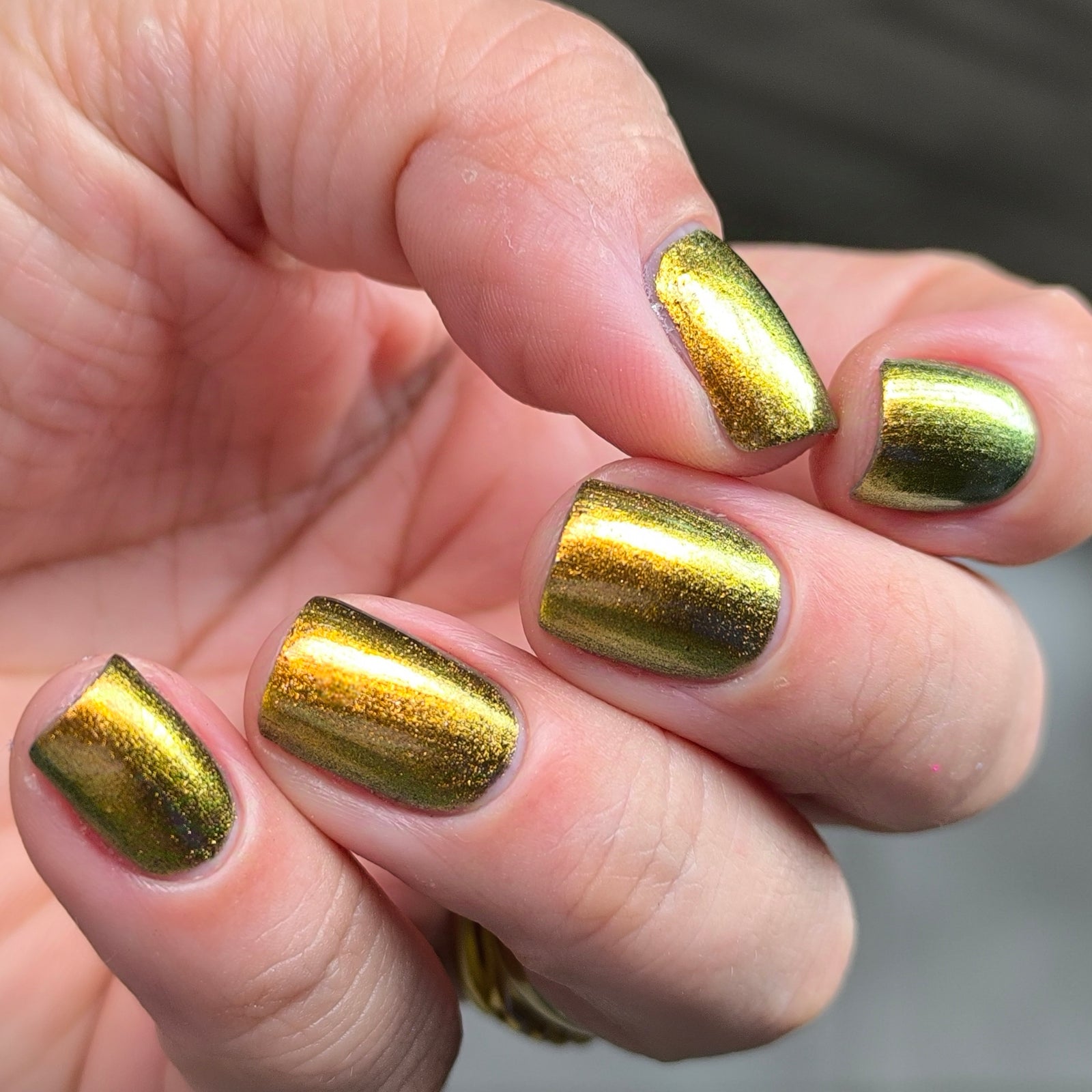 Phoenix- Hummingbirds- Golden Bellied Starfrontlet