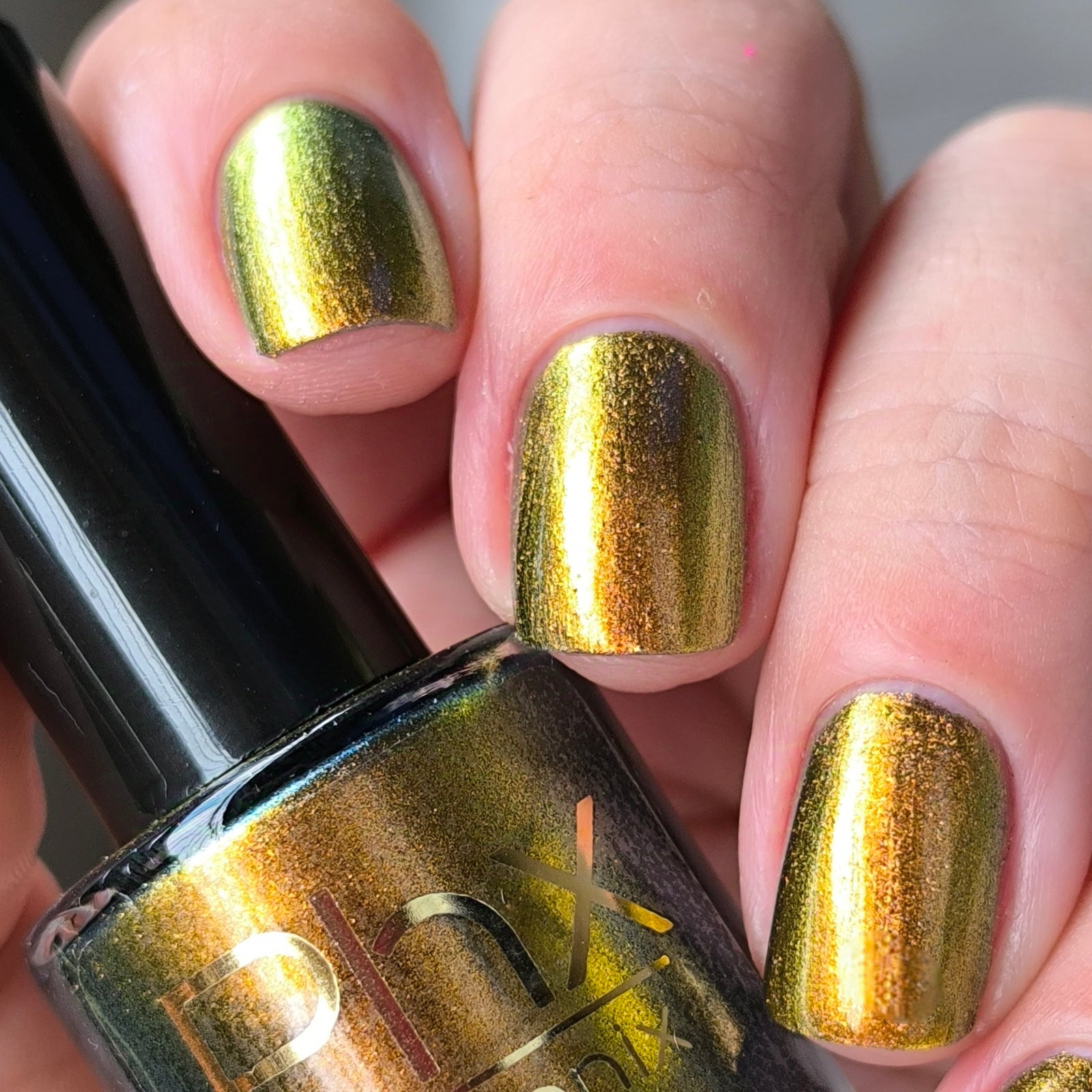 Phoenix- Hummingbirds- Golden Bellied Starfrontlet