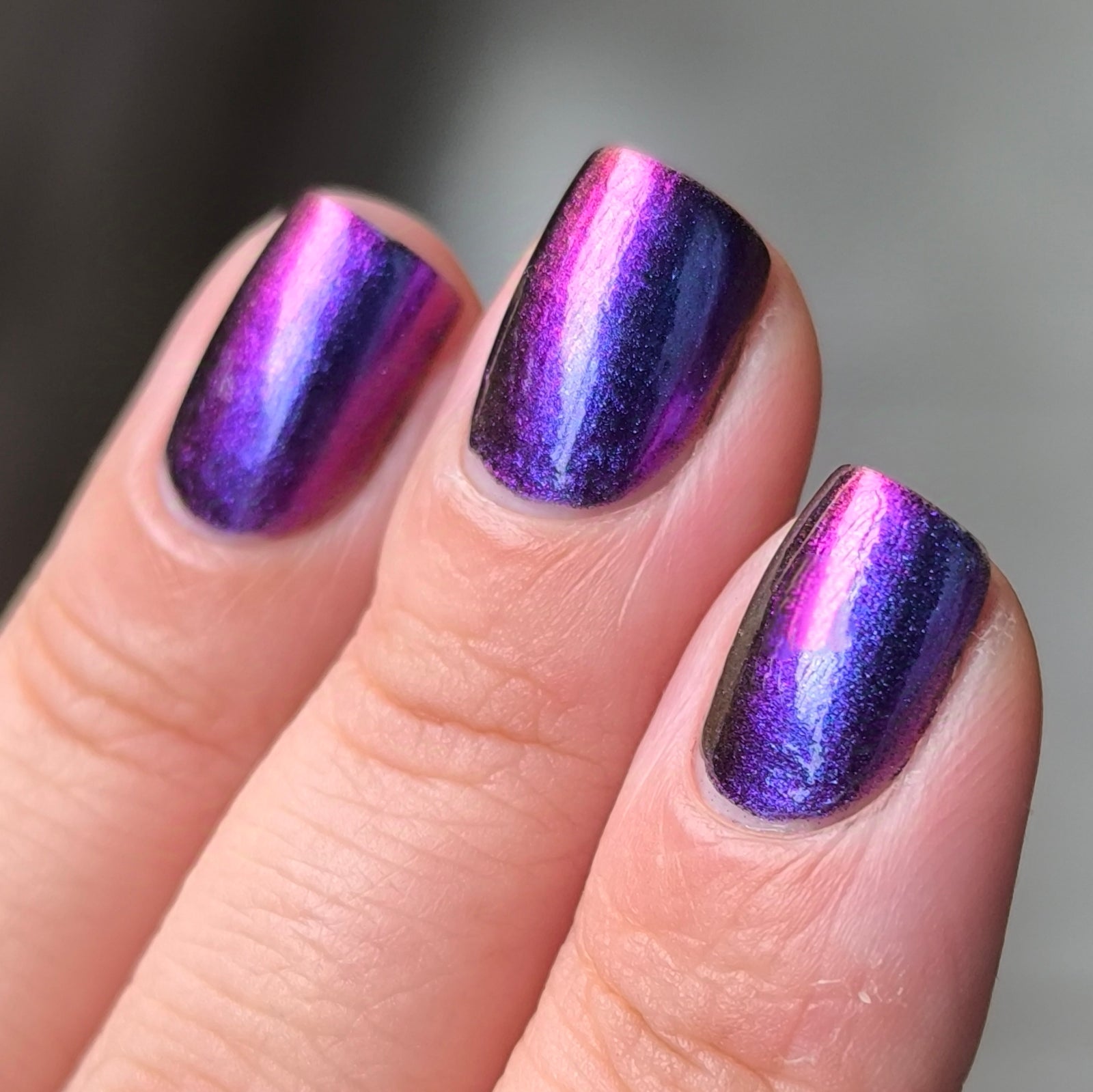 Phoenix- Hummingbirds- Garnet Throated Hummingbird