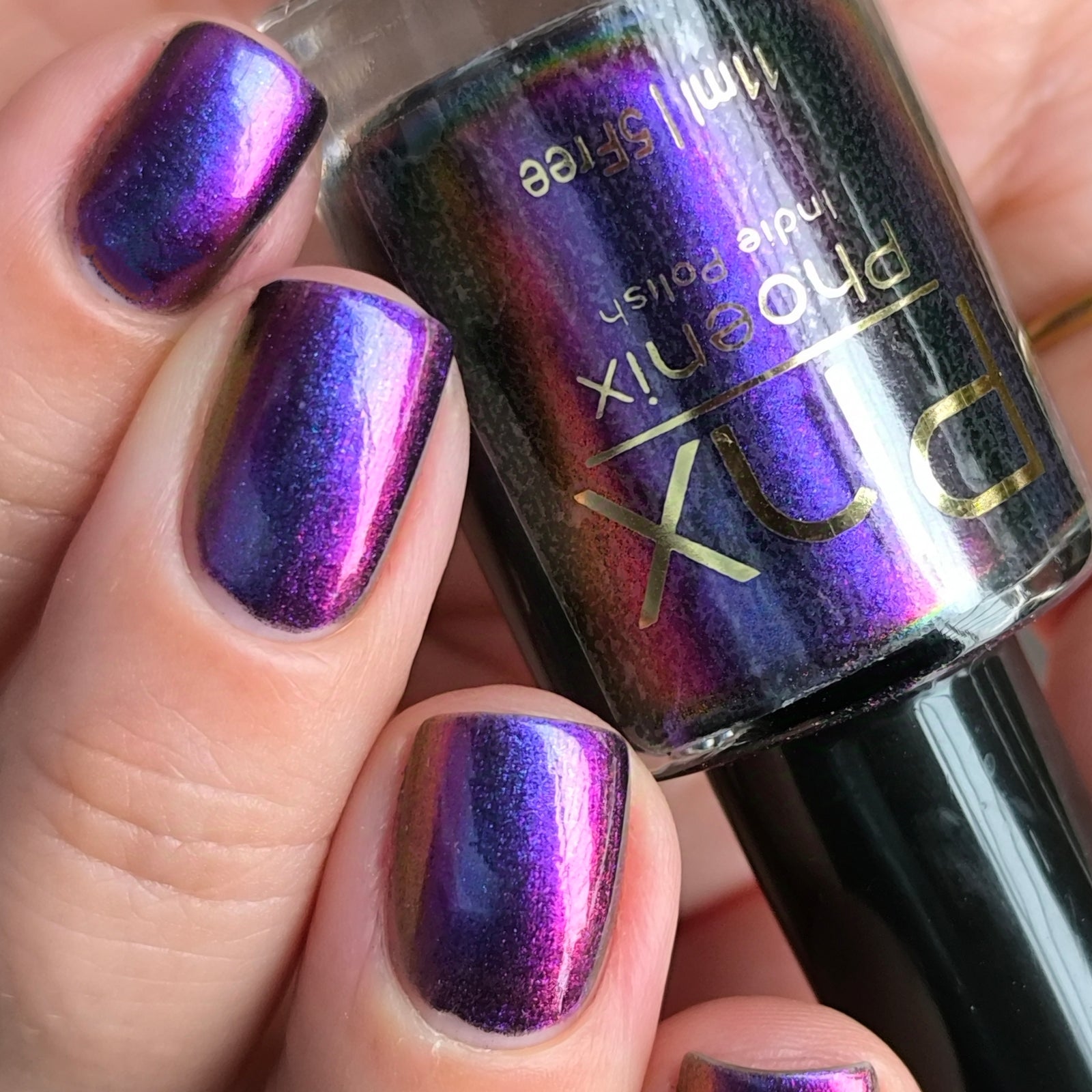 Phoenix- Hummingbirds- Garnet Throated Hummingbird