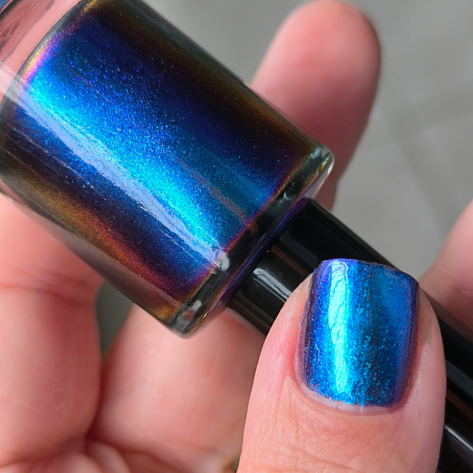 Phoenix- Hummingbirds- Florisuga Mellivora