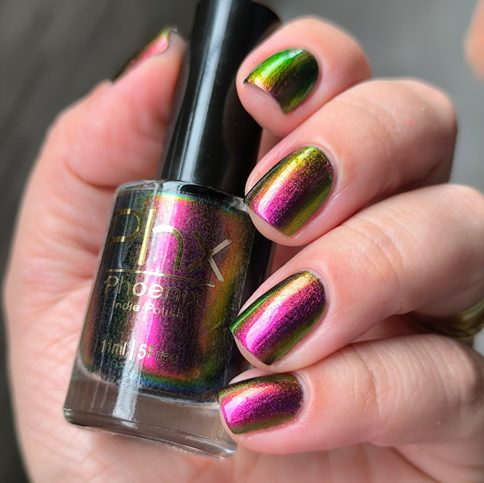 Phoenix- Hummingbirds- Broad Tiled Hummingbird