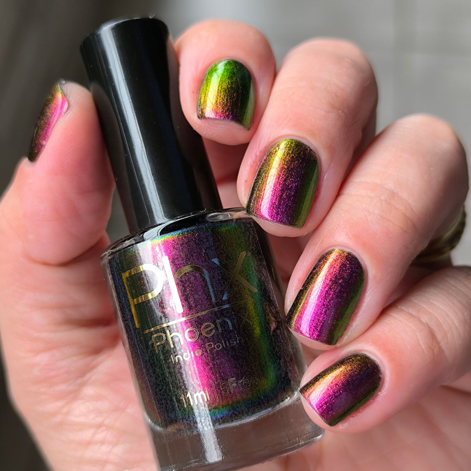 Phoenix- Hummingbirds- Broad Tiled Hummingbird