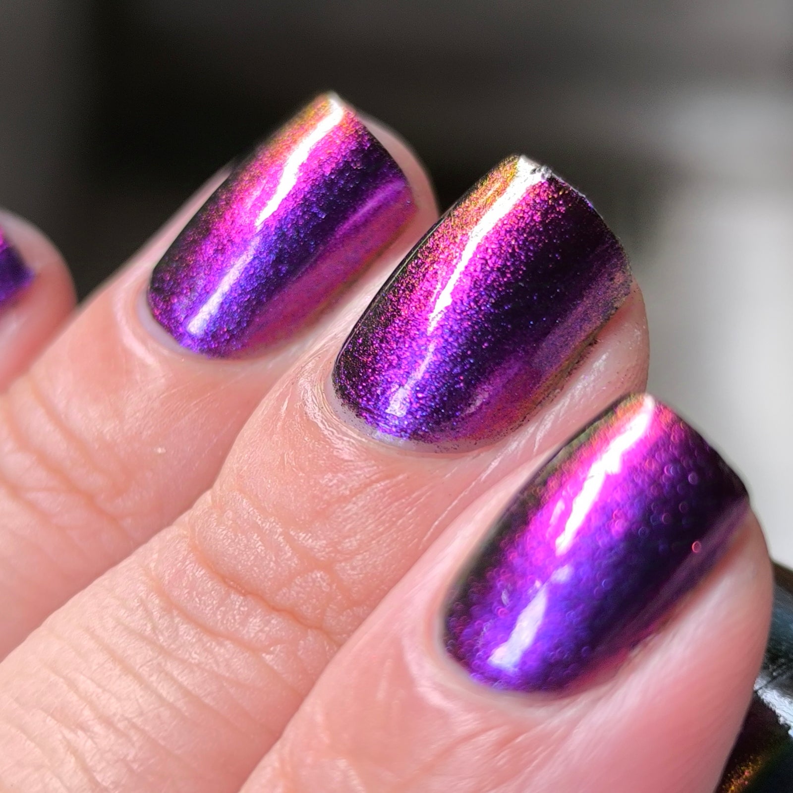 Phoenix- Hummingbirds- Costa's Hummingbird