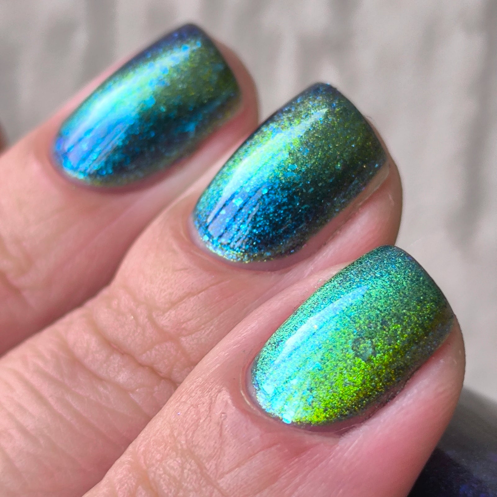 Phoenix- Interstellar- Earth