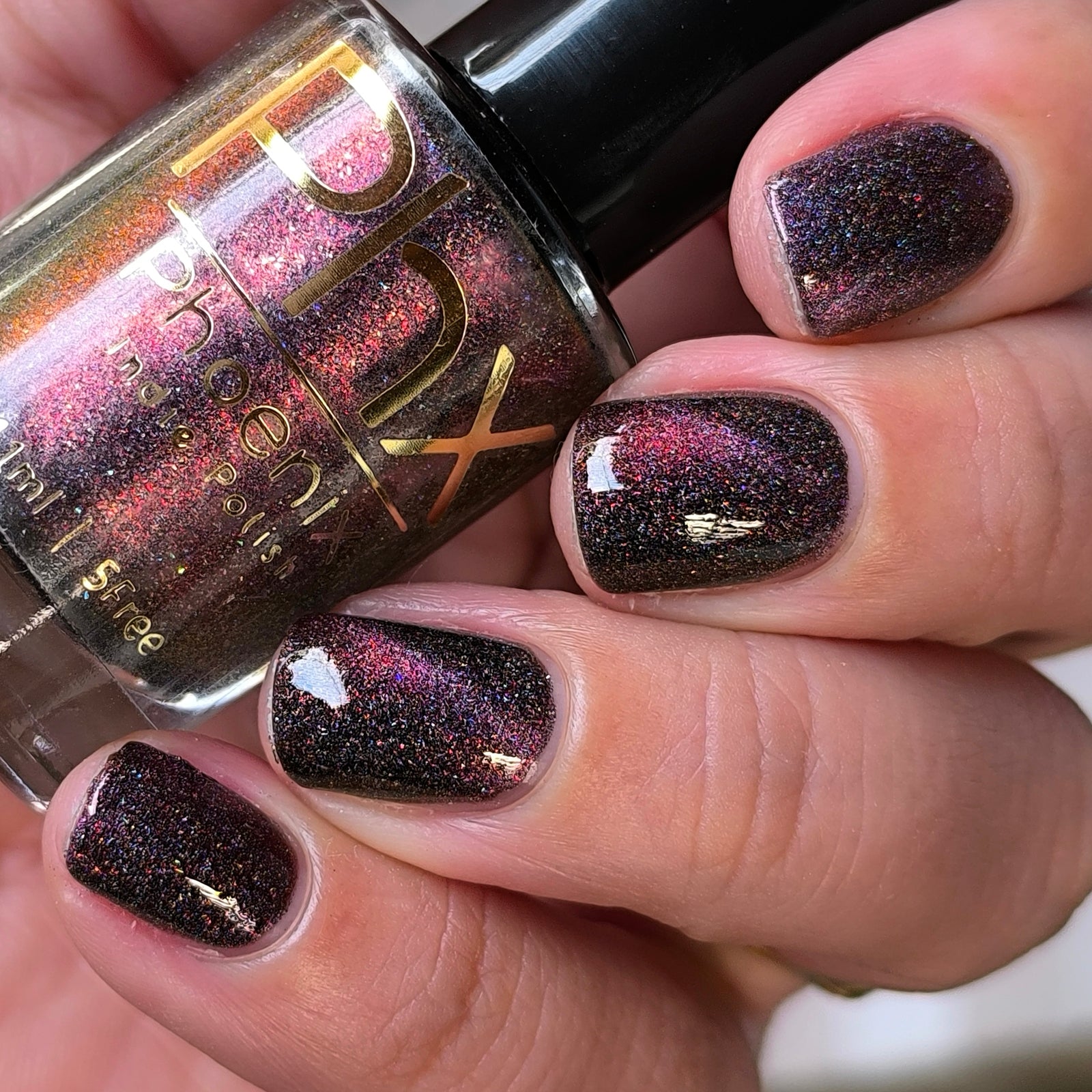 Phoenix- Interstellar- Mars