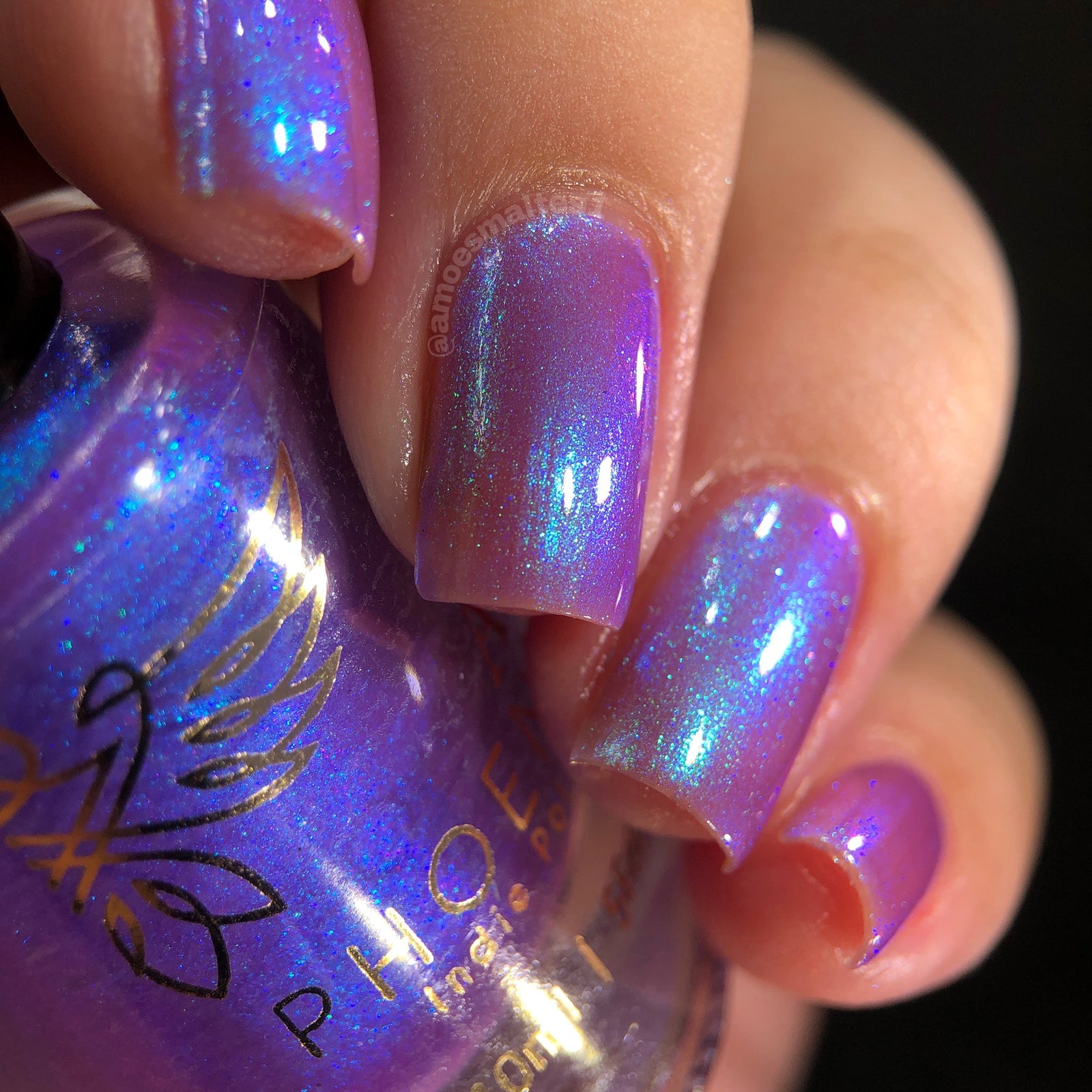 Phoenix- Paint the Town Red- Bella