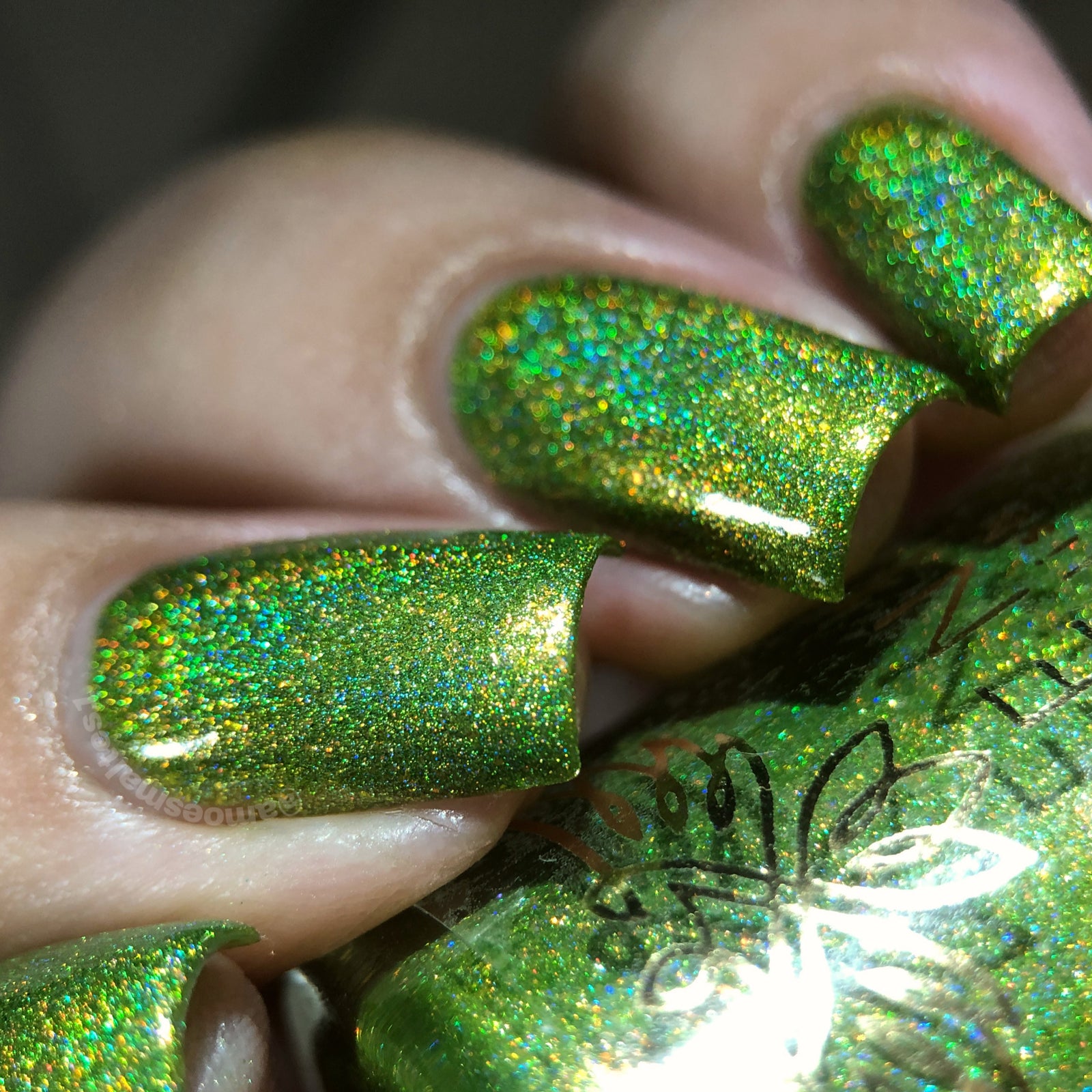 Phoenix- Blood and Fire- Vermax