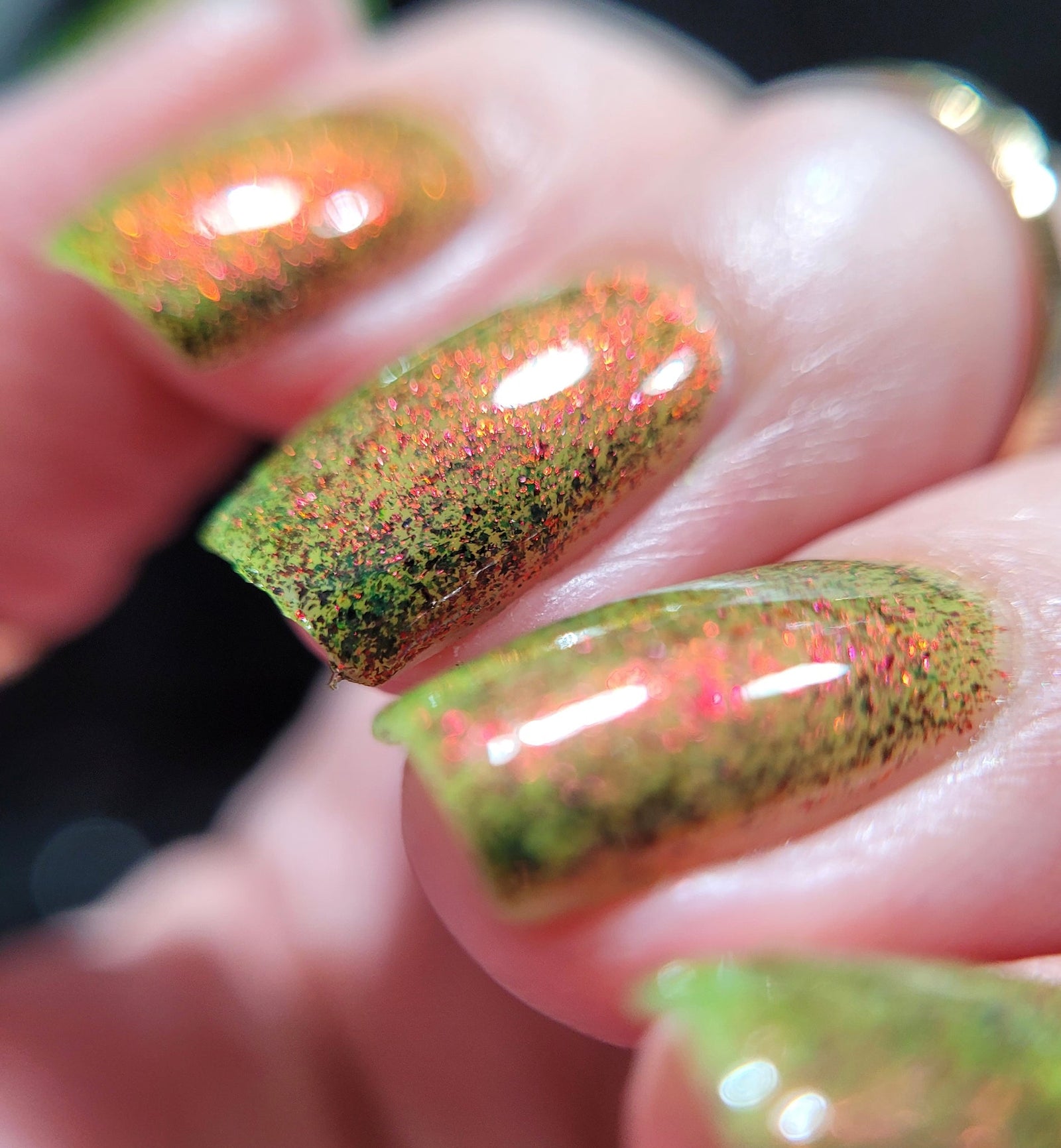 Phoenix- Paint the Town Red- Zé Vampir