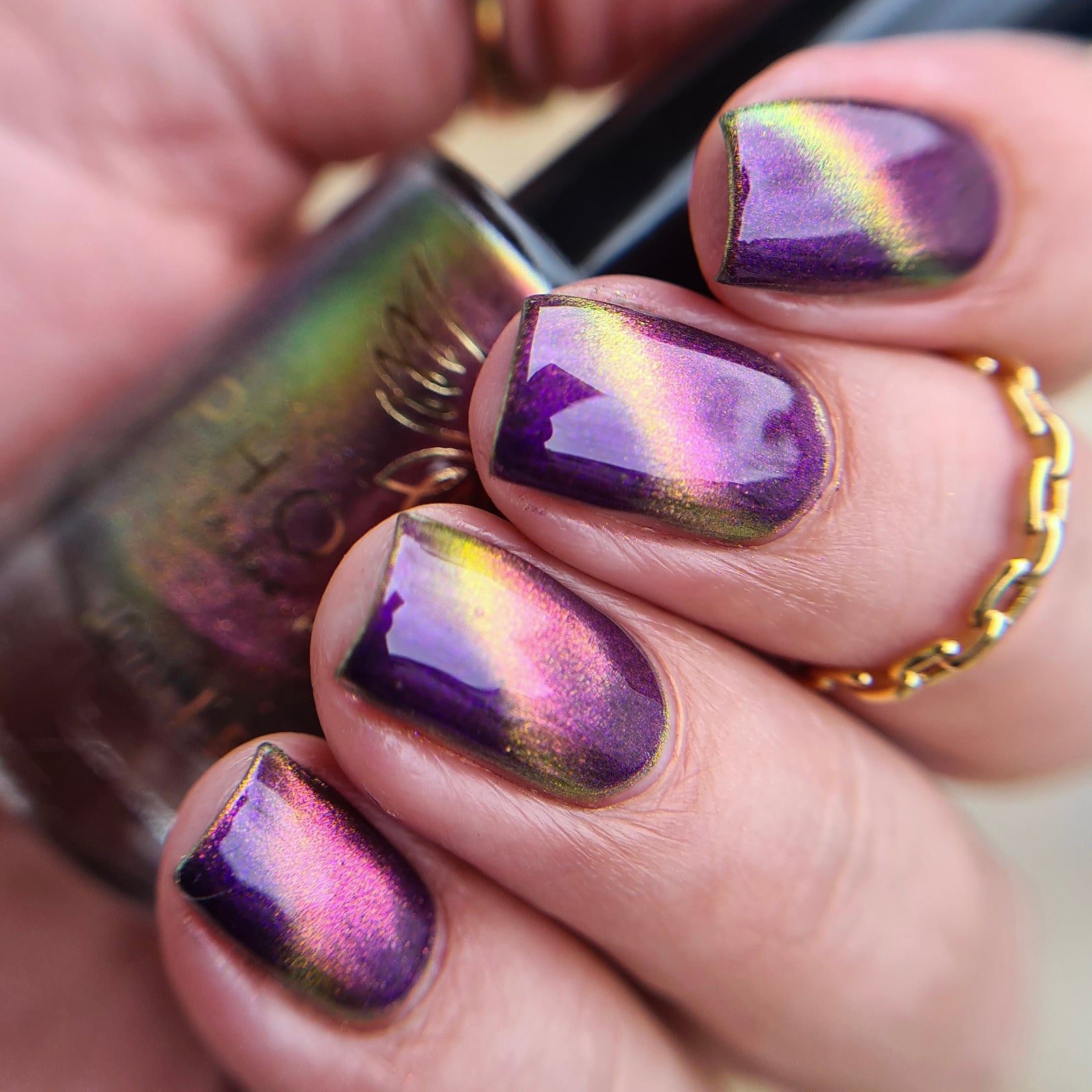 Phoenix- A Special Christmas- For Rocket