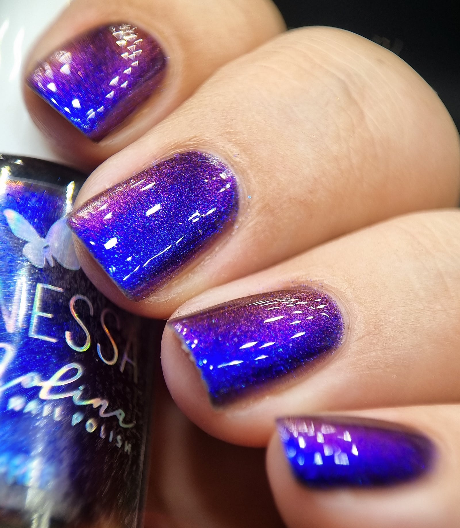 By Vanessa Molina- Scares and Magic- It's Show Time