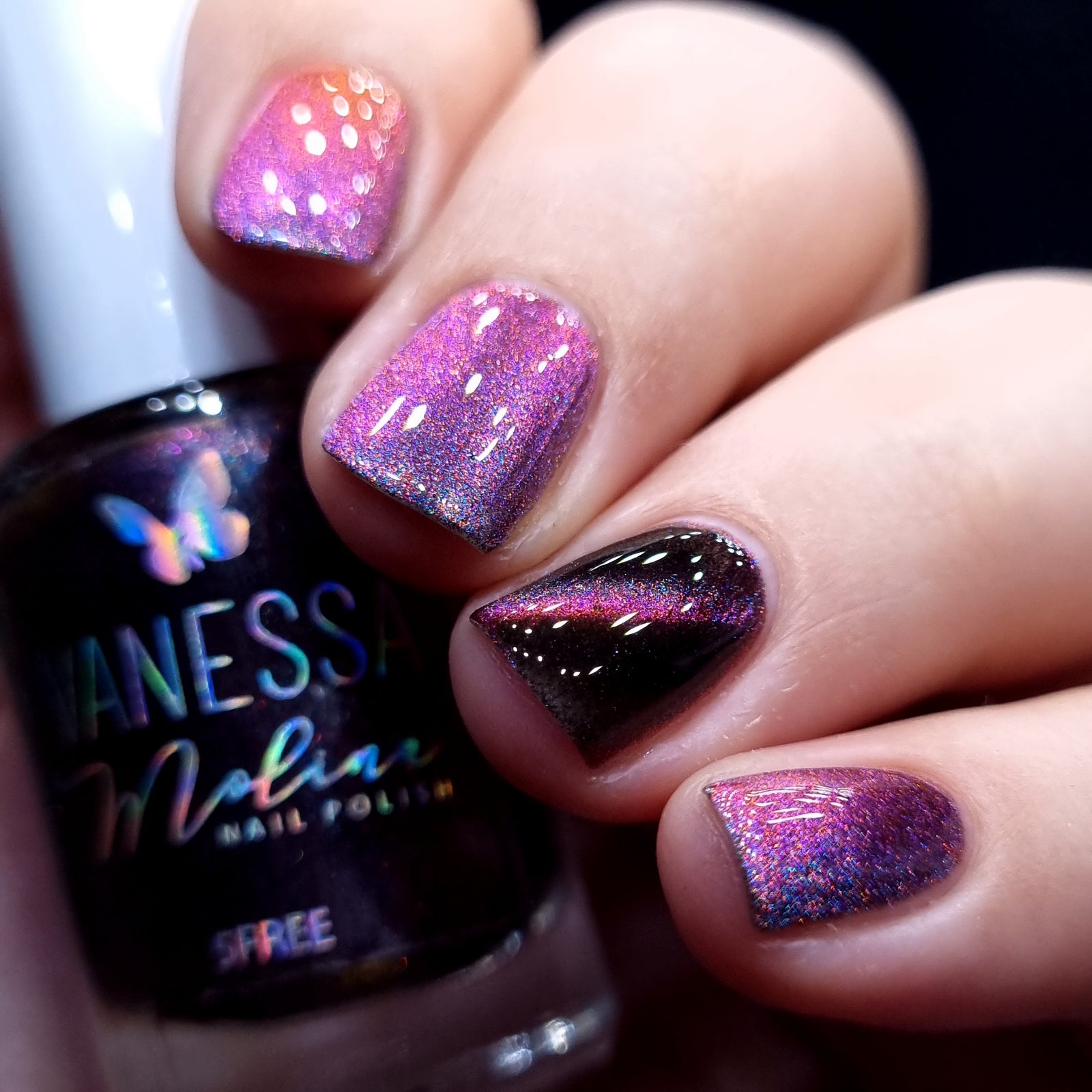 By Vanessa Molina- Rise of the Guardians- Race Through the Sky