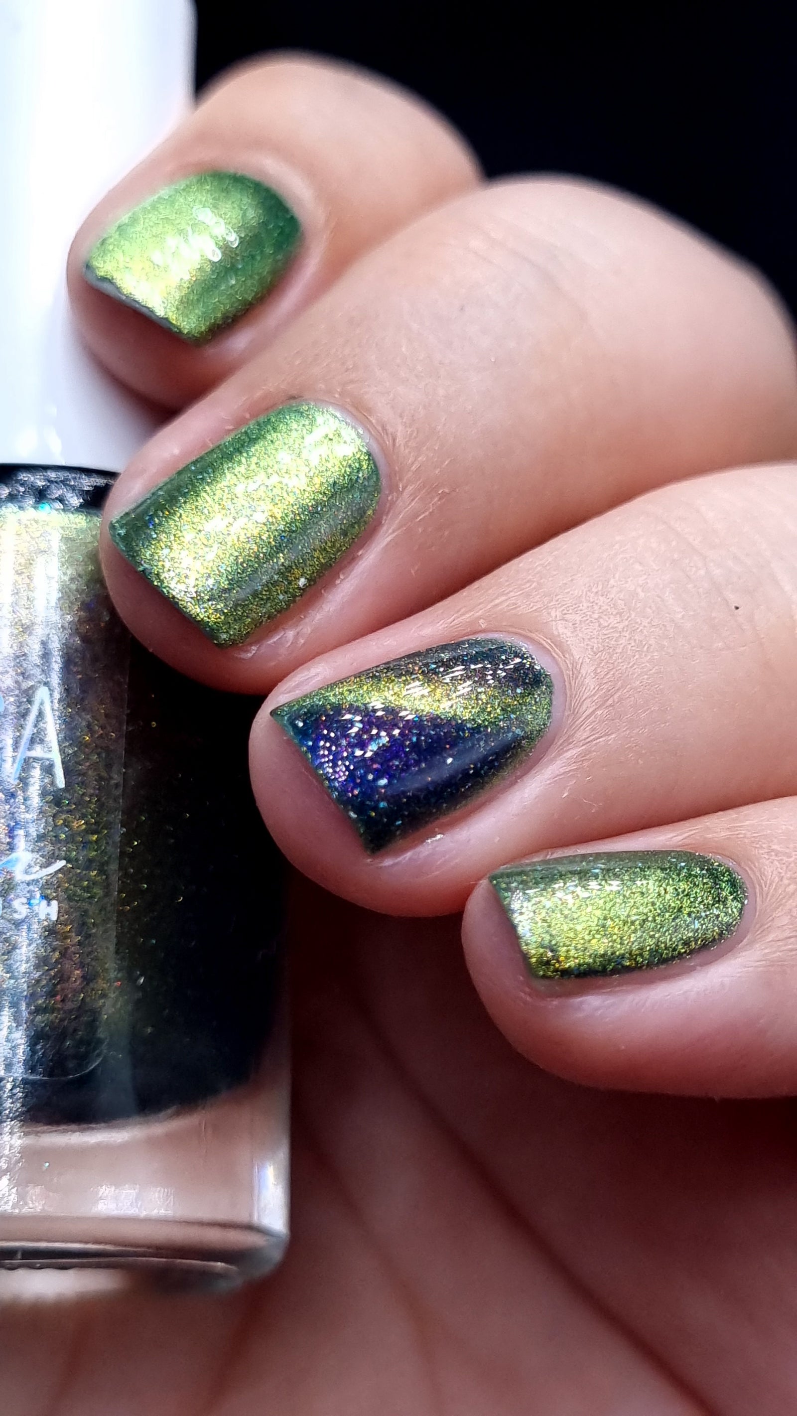 By Vanessa Molina- Rise of the Guardians- Big Rabbit