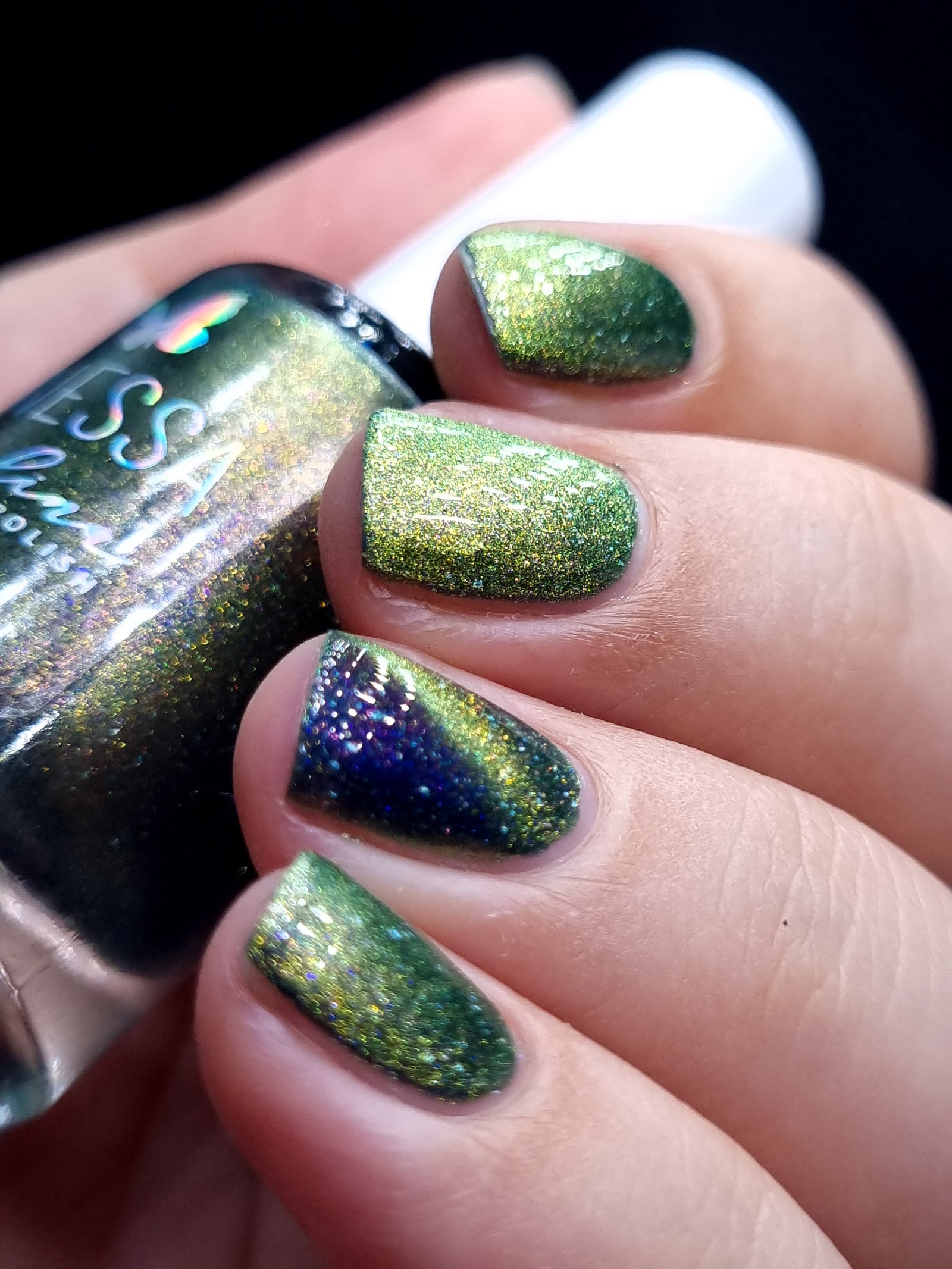 By Vanessa Molina- Rise of the Guardians- Big Rabbit