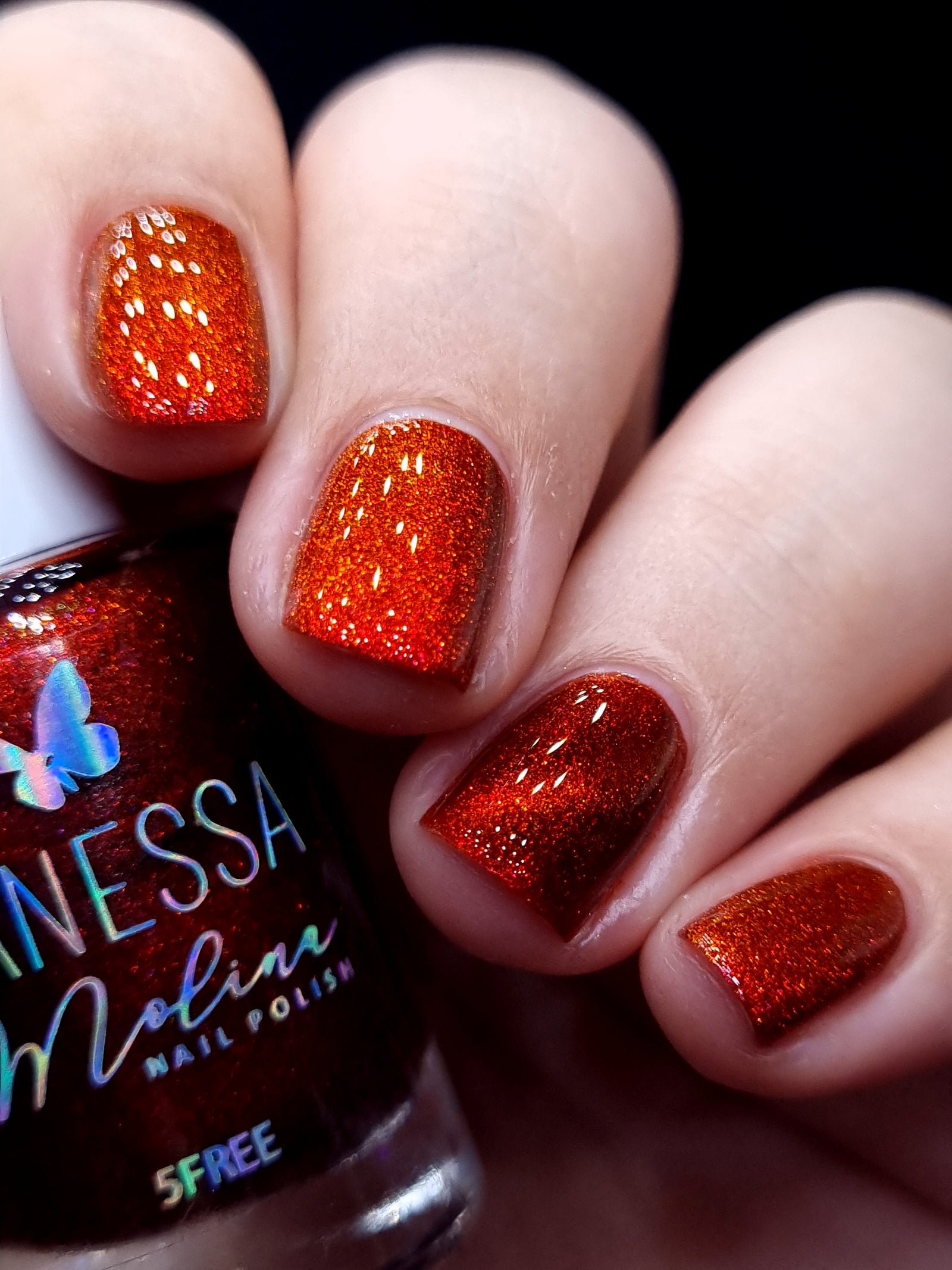 By Vanessa Molina- Rise of the Guardians- North