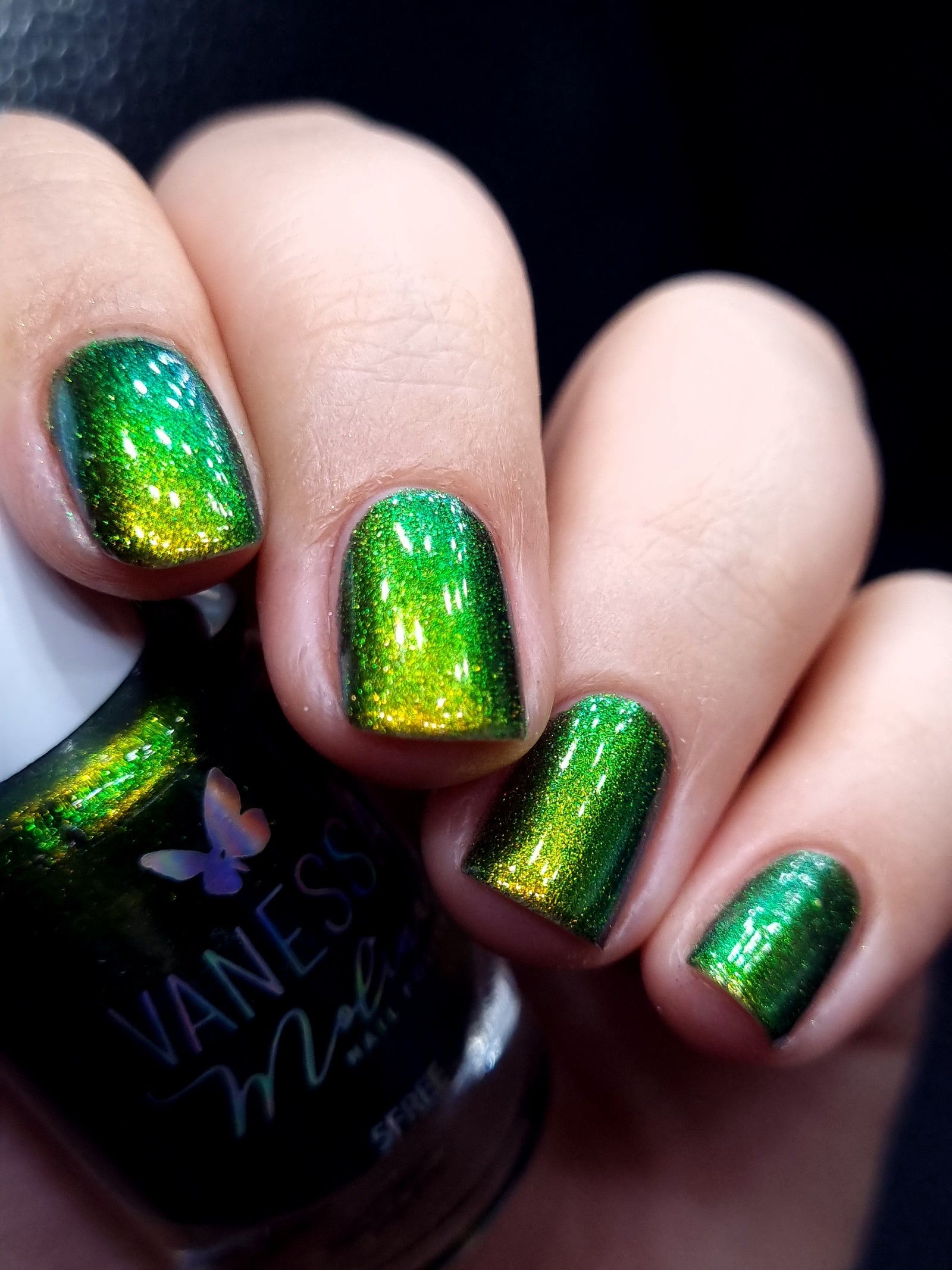 By Vanessa Molina- Rise of the Guardians- Magic Tooth Fairy