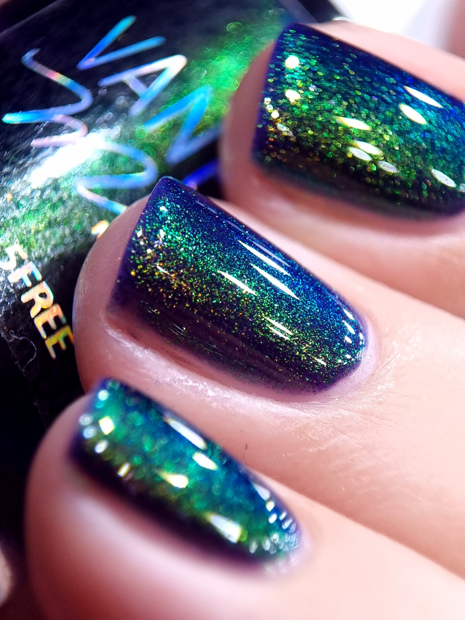 By Vanessa Molina- Rise of the Guardians- Believe in Dreams