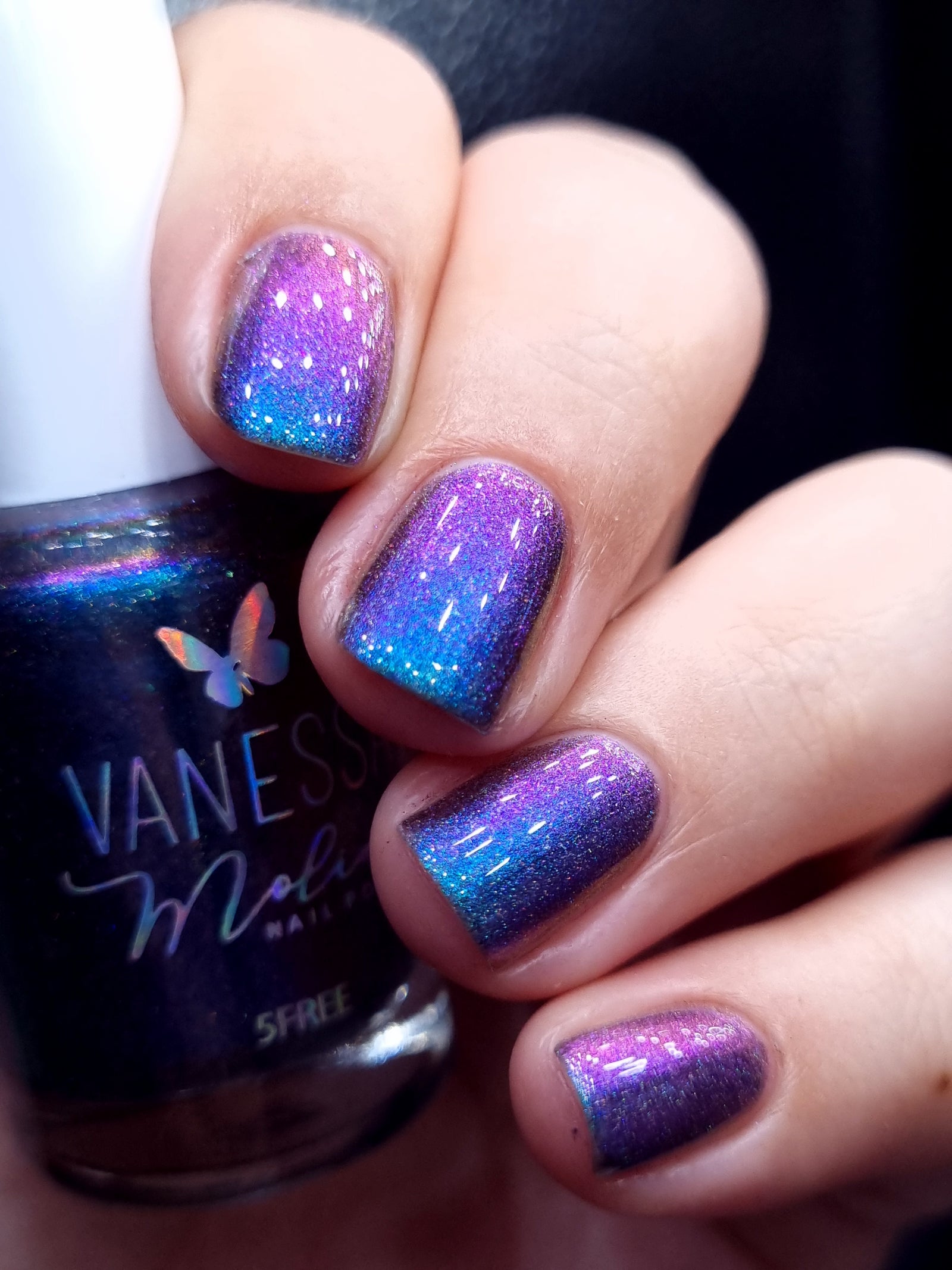 By Vanessa Molina- Rise of the Guardians- Xmas Spirit