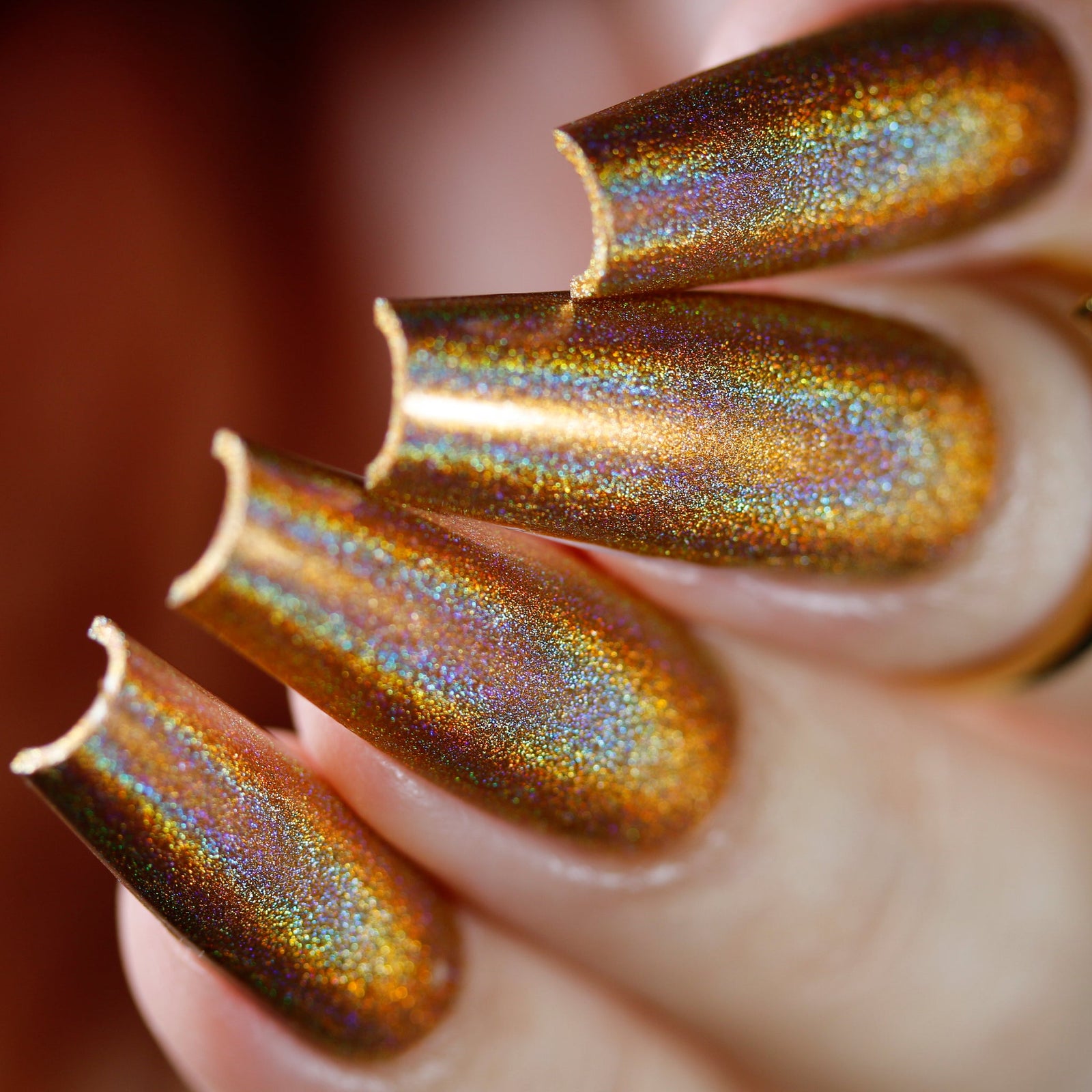 Phoenix- Holos- Mon Petit