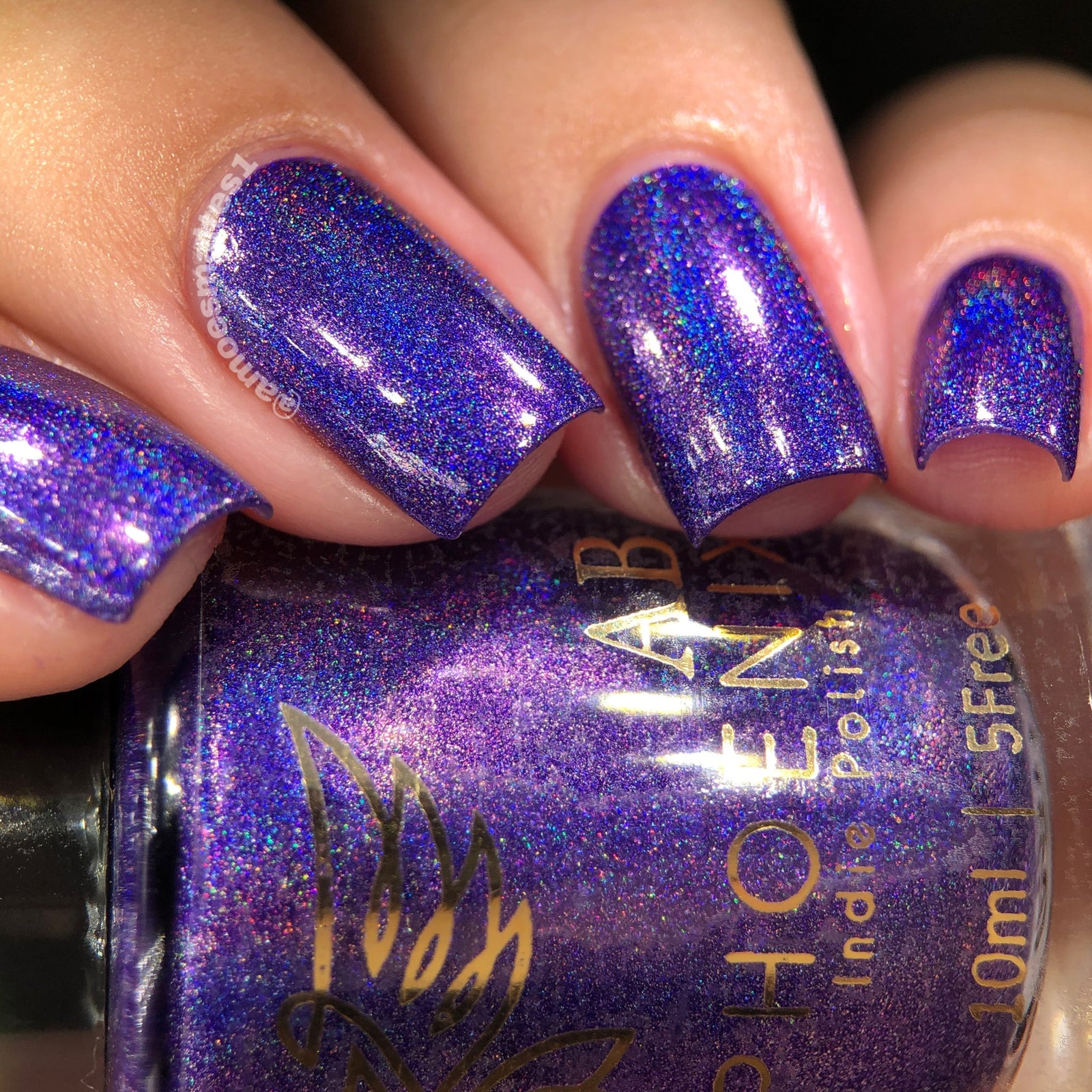 Phoenix- Paint the Town Red- Rebekah