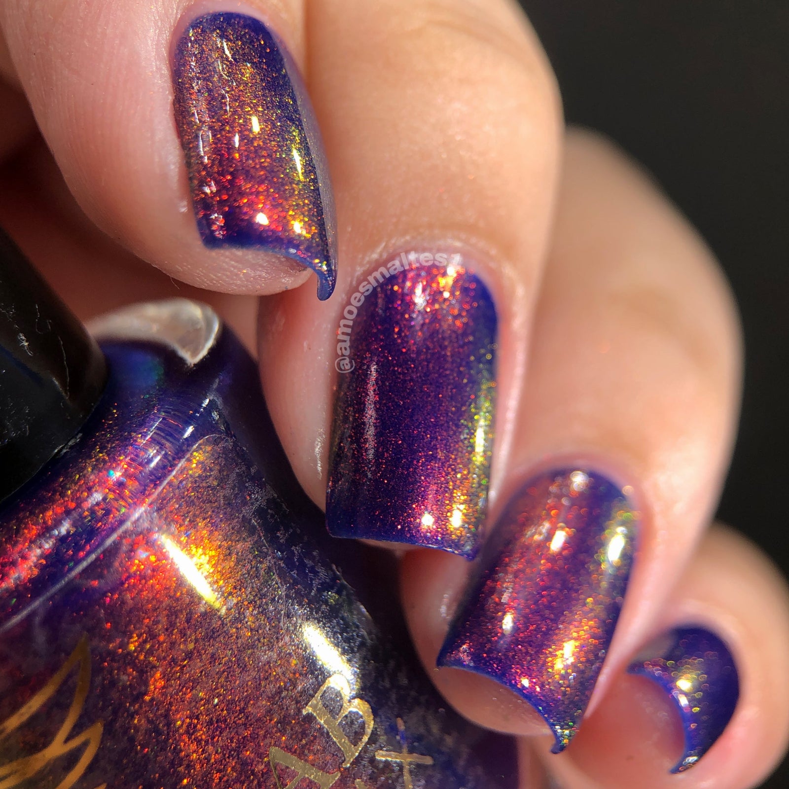 Phoenix- Paint the Town Red- Elijah