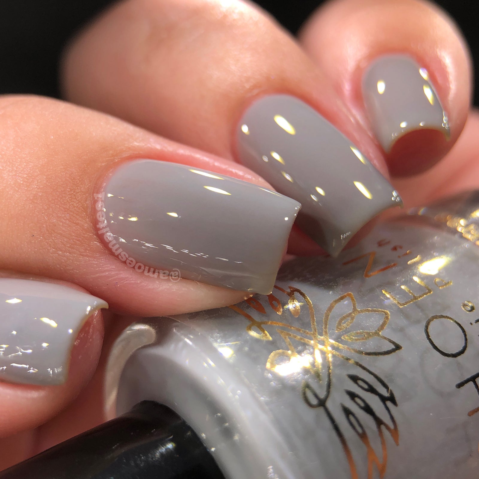 Phoenix- Blood and Fire- Laenor