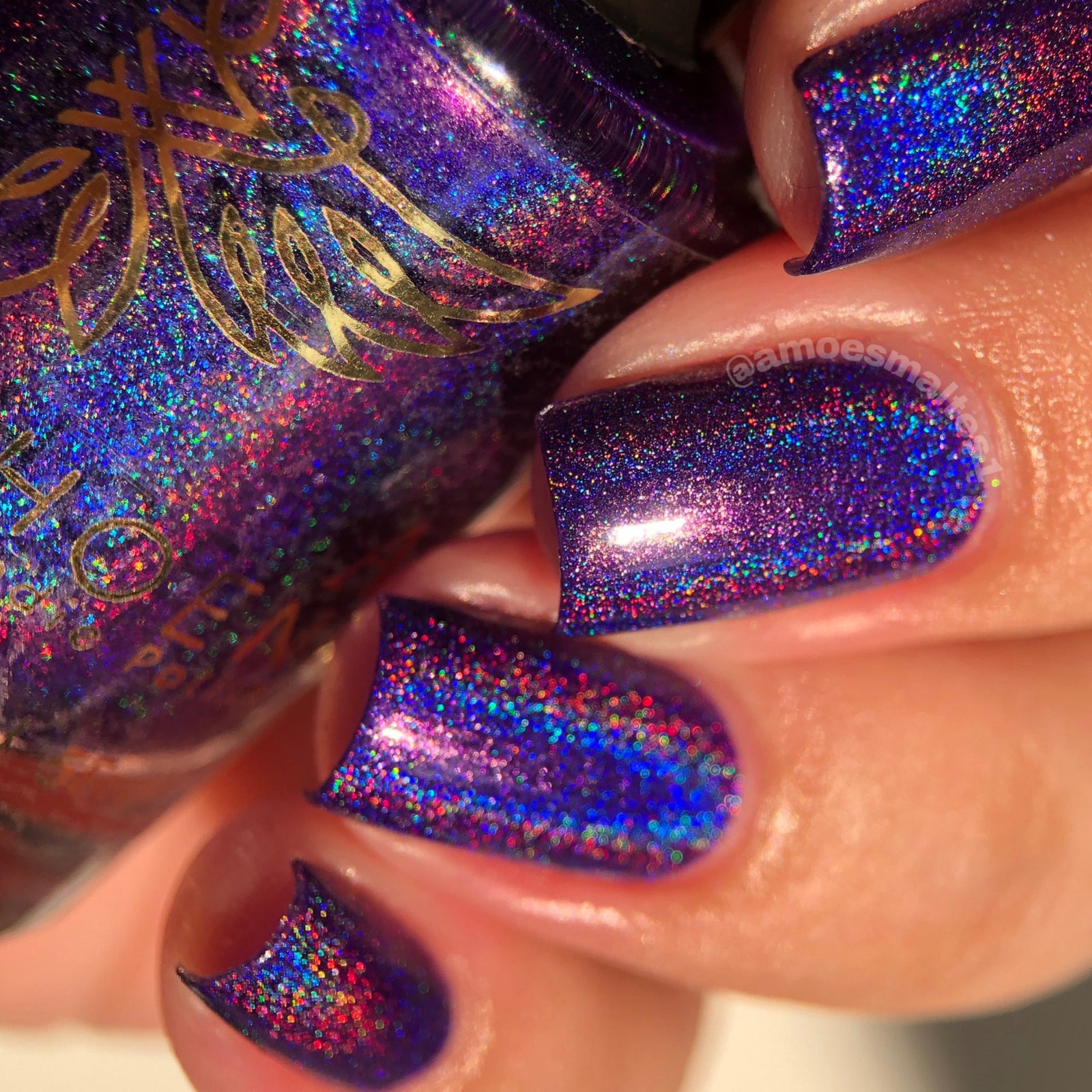 Phoenix- Paint the Town Red- Rebekah