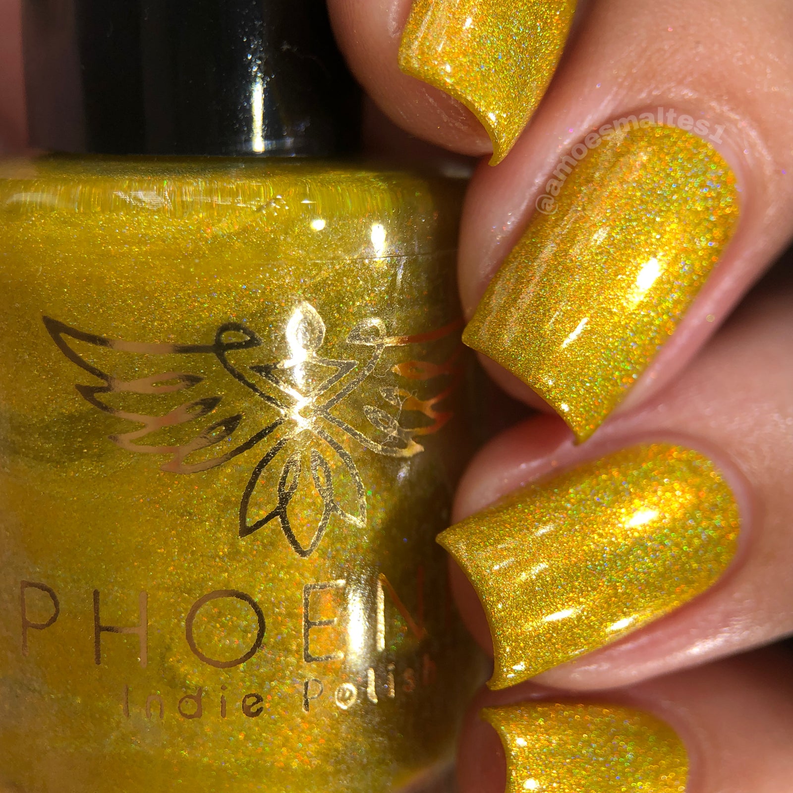 Phoenix- Blood and Fire- Sunfyre