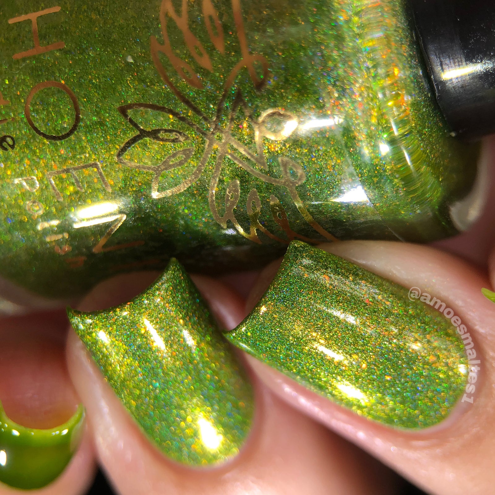 Phoenix- Blood and Fire- Vermax