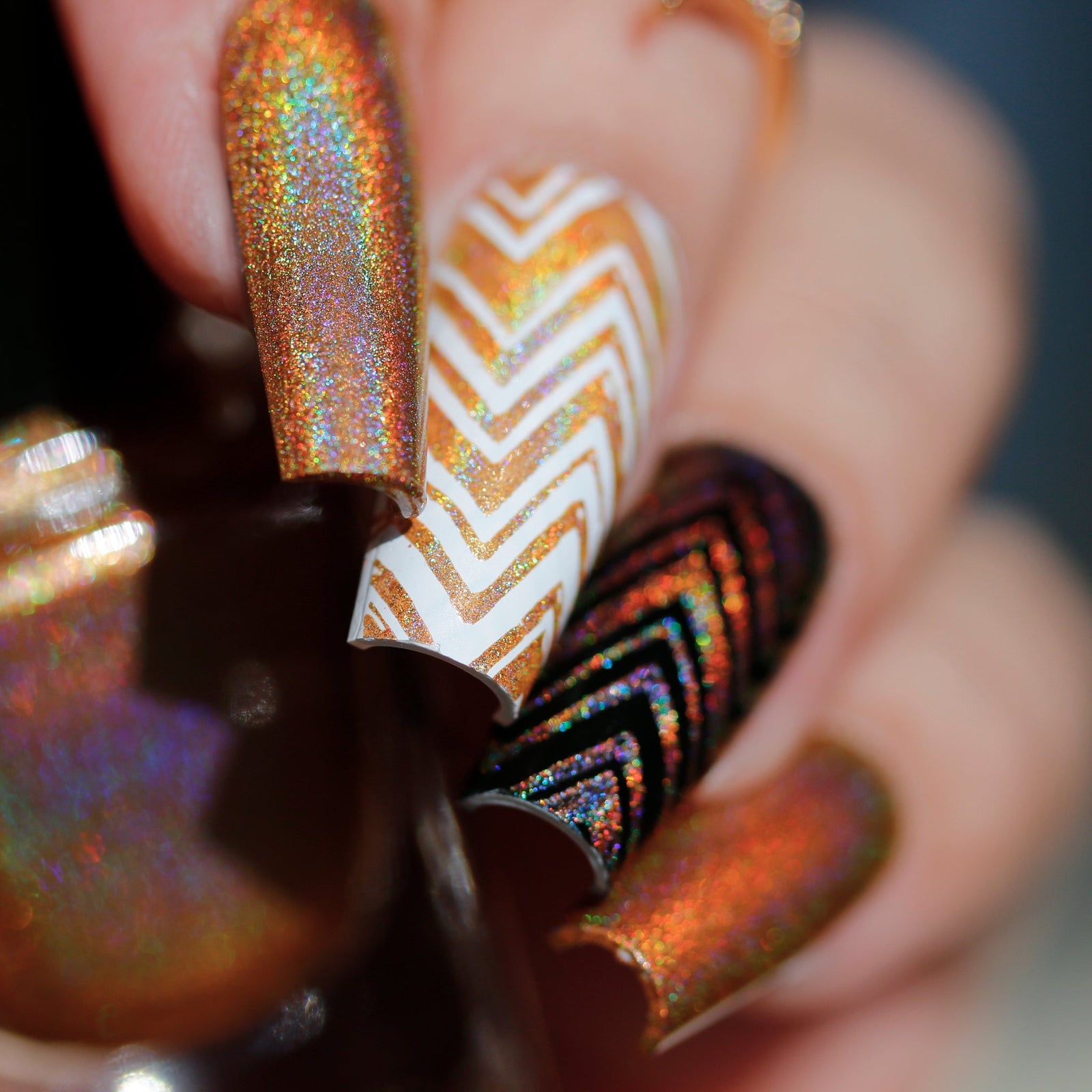 Phoenix- Holos- Mon Petit