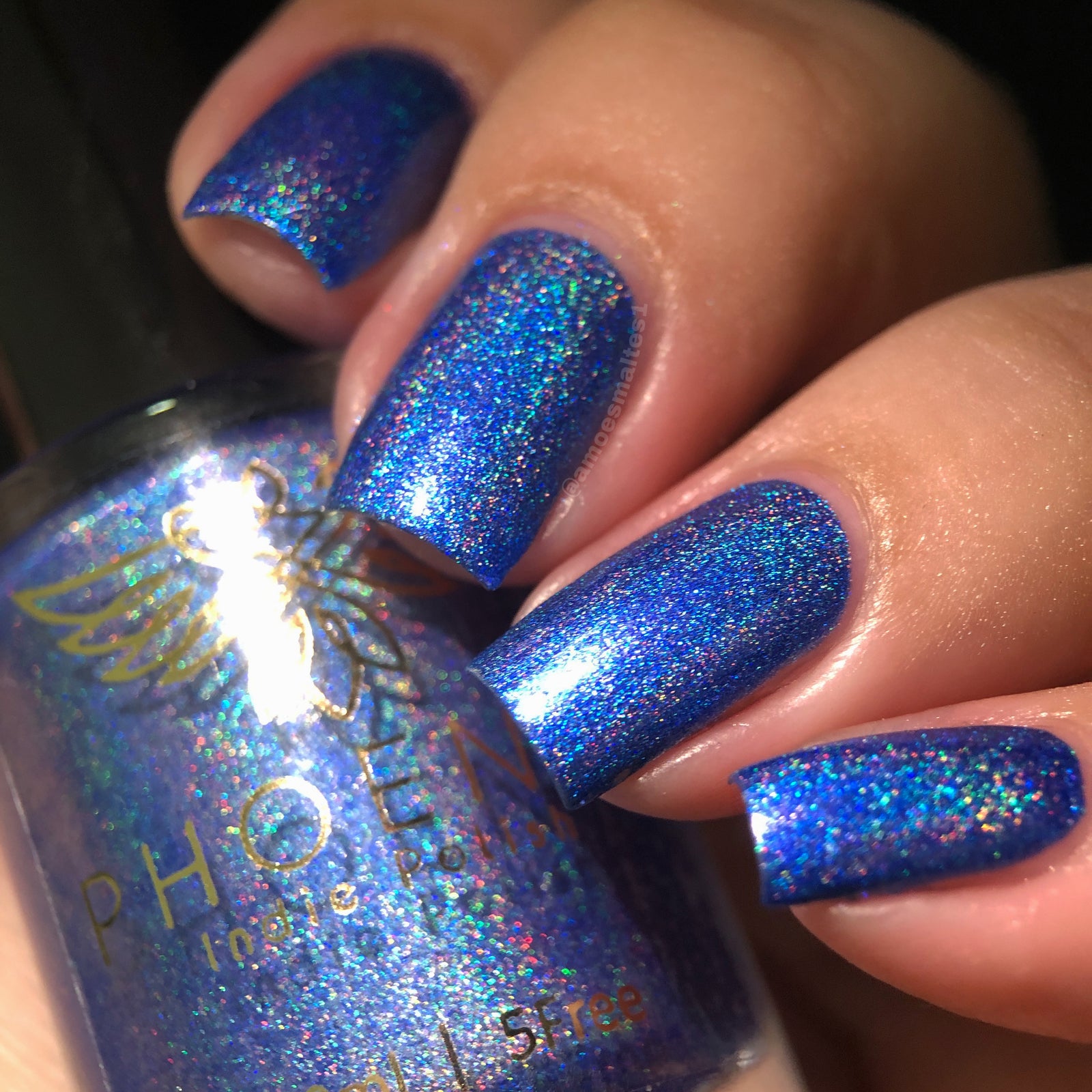 Phoenix- Blood and Fire- Ice Dragon