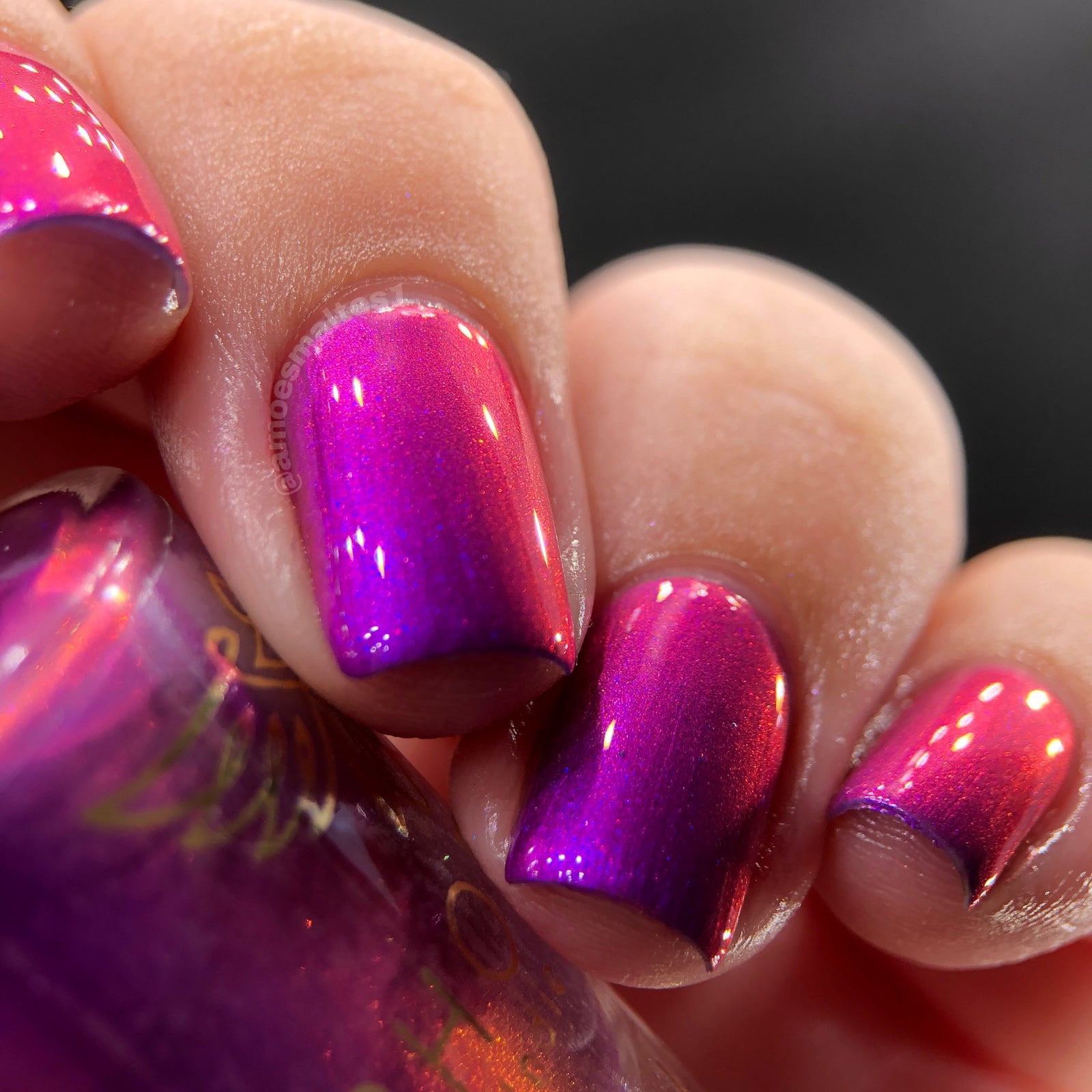 Phoenix- A Special Christmas- Raise Your Hands