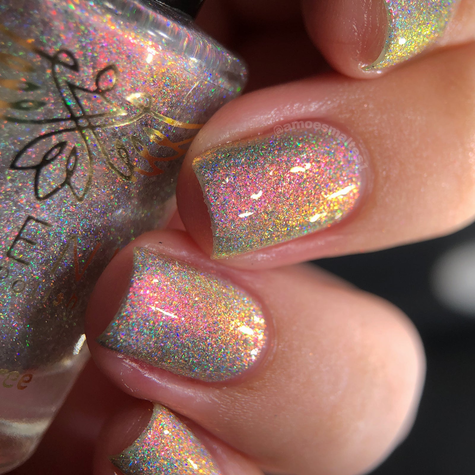 Phoenix- A Special Christmas- We Love You Kevin Bacon