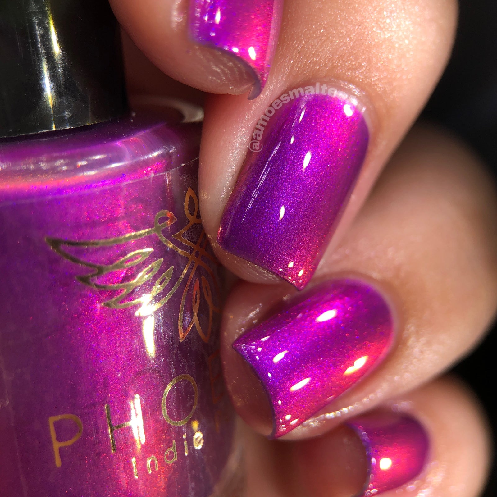 Phoenix- A Special Christmas- Raise Your Hands