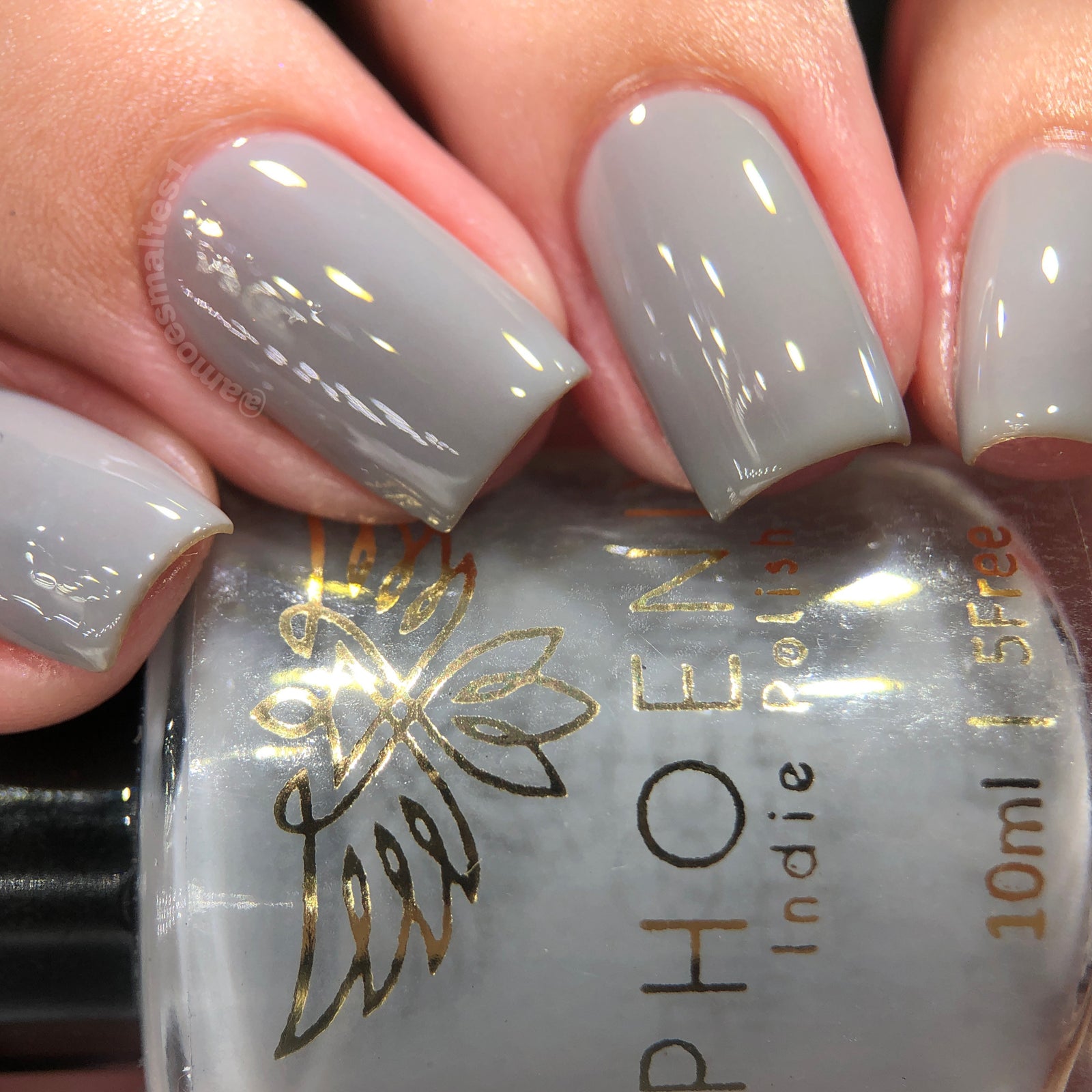 Phoenix- Blood and Fire- Laenor