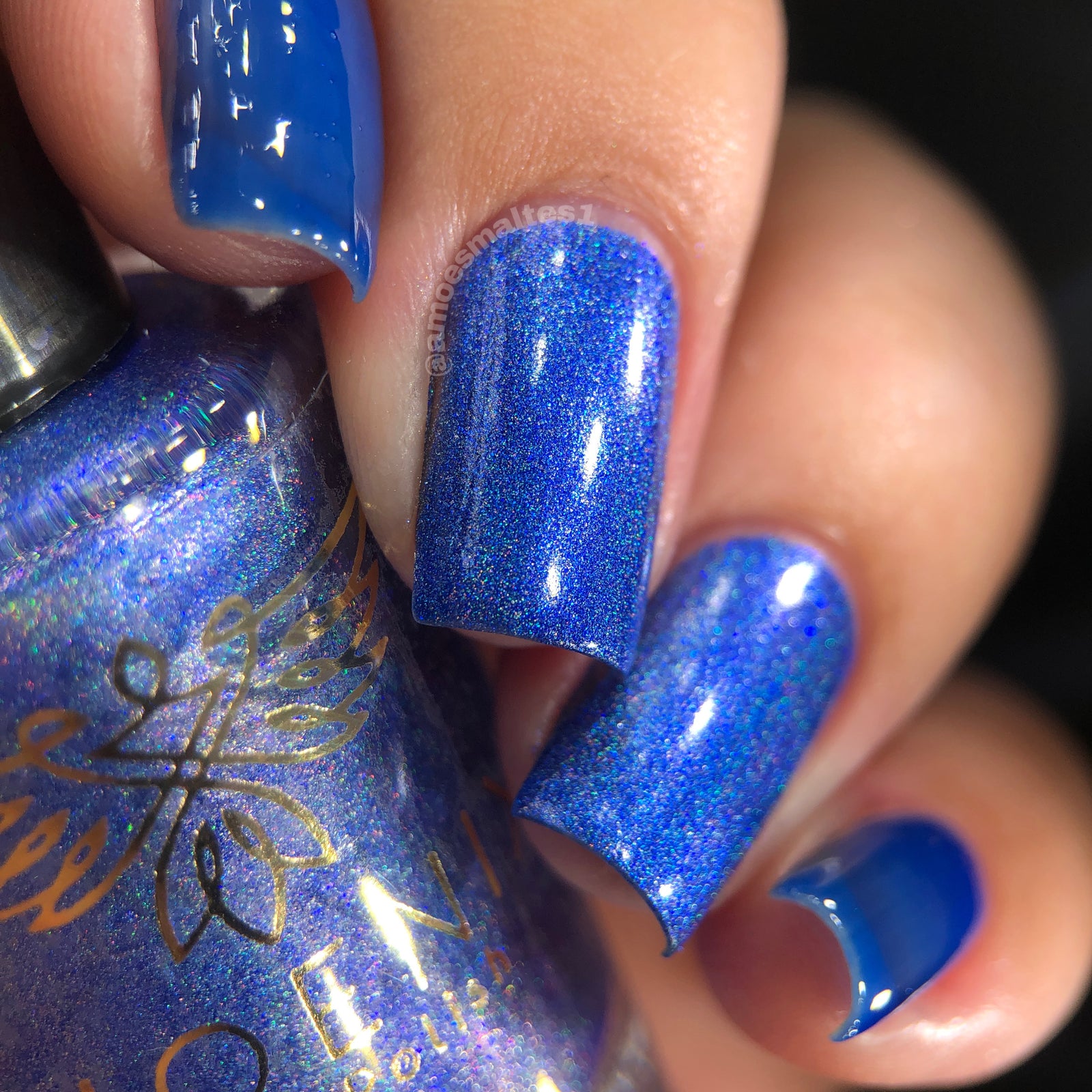 Phoenix- Blood and Fire- Ice Dragon