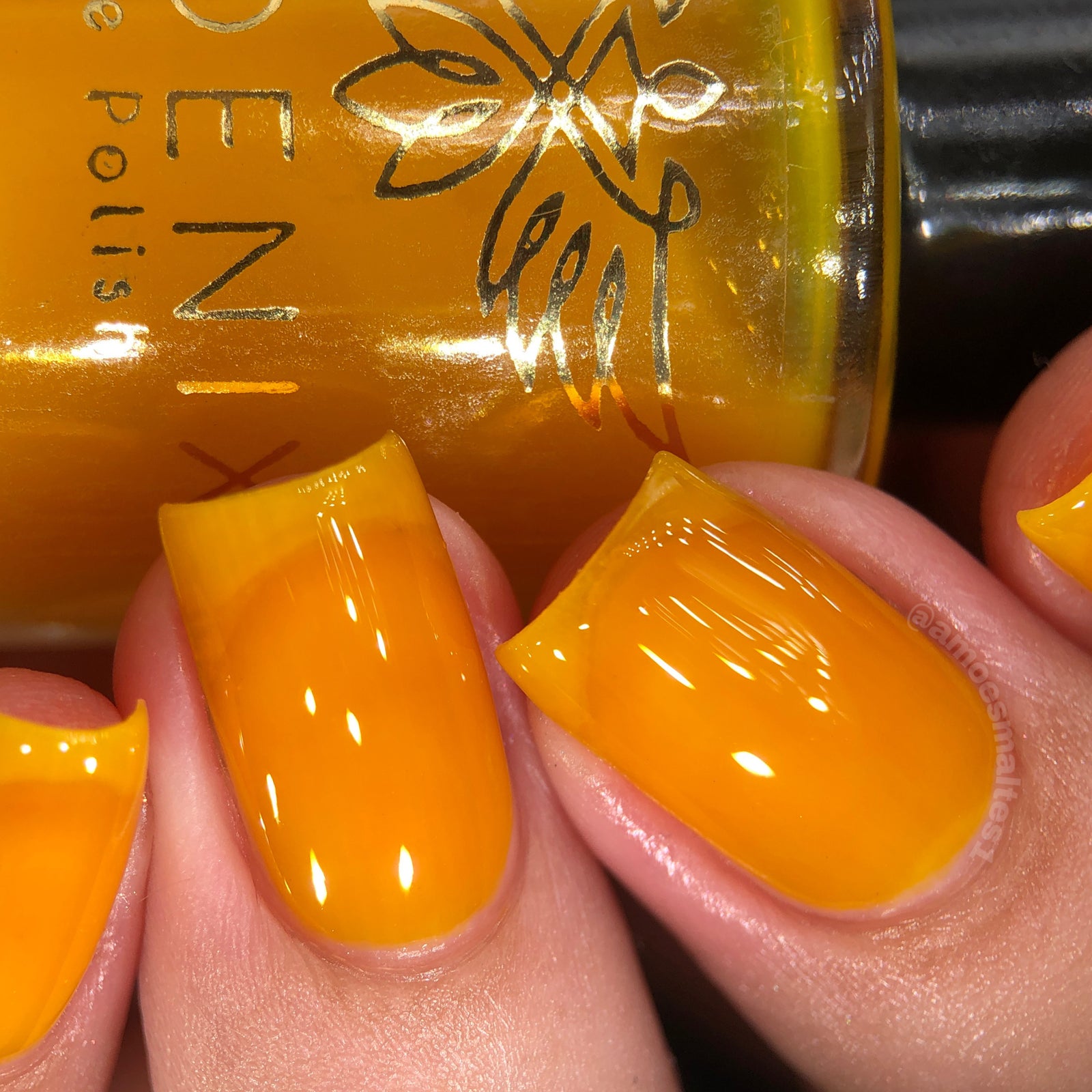 Phoenix- Blood and Fire- Aegon II