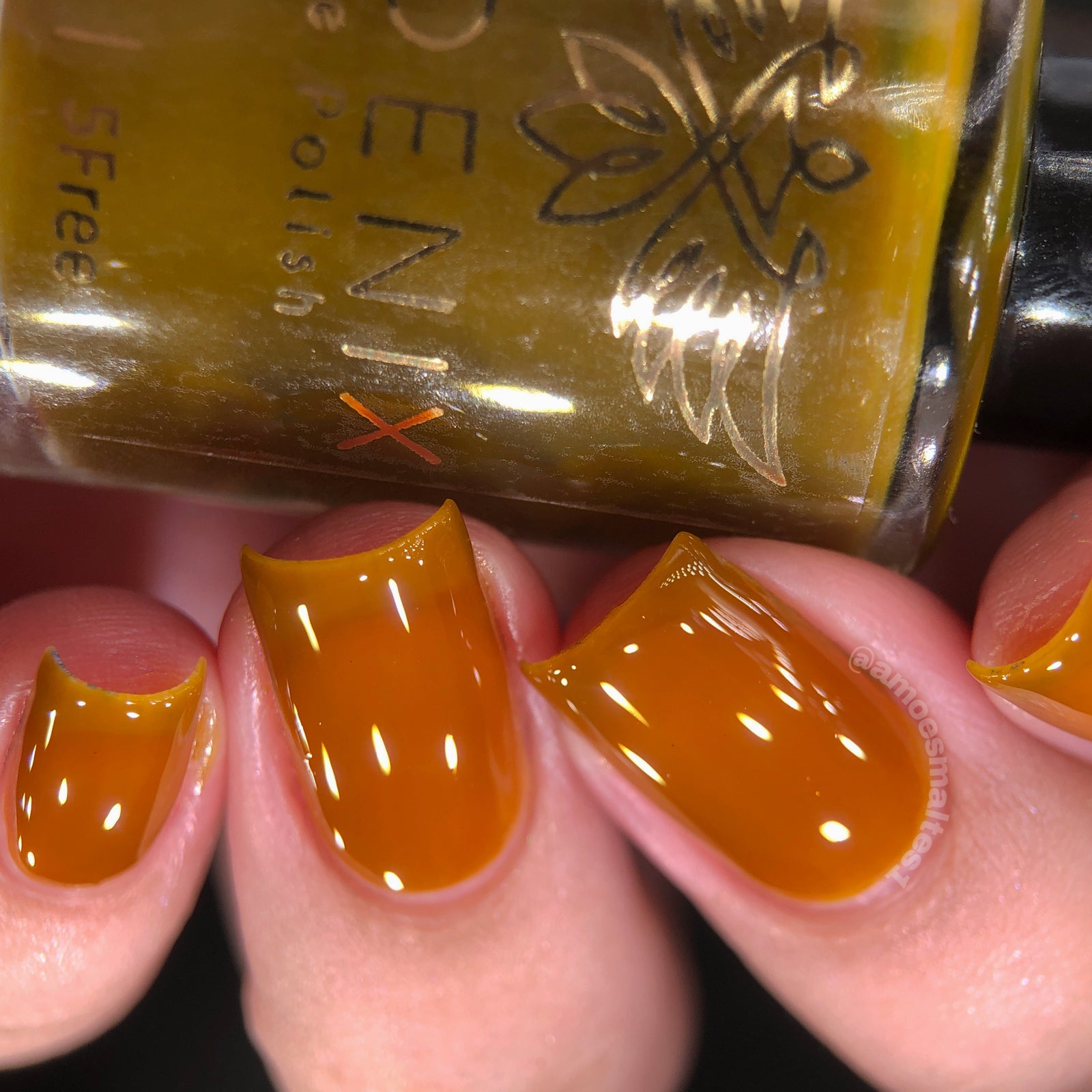 Phoenix- Blood and Fire- Rhaenyra