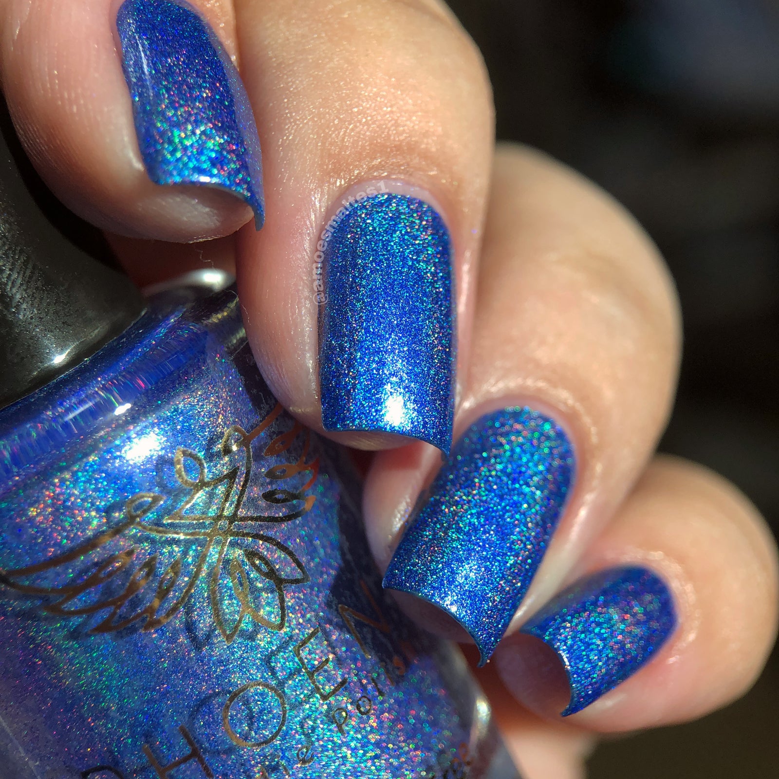 Phoenix- Blood and Fire- Ice Dragon