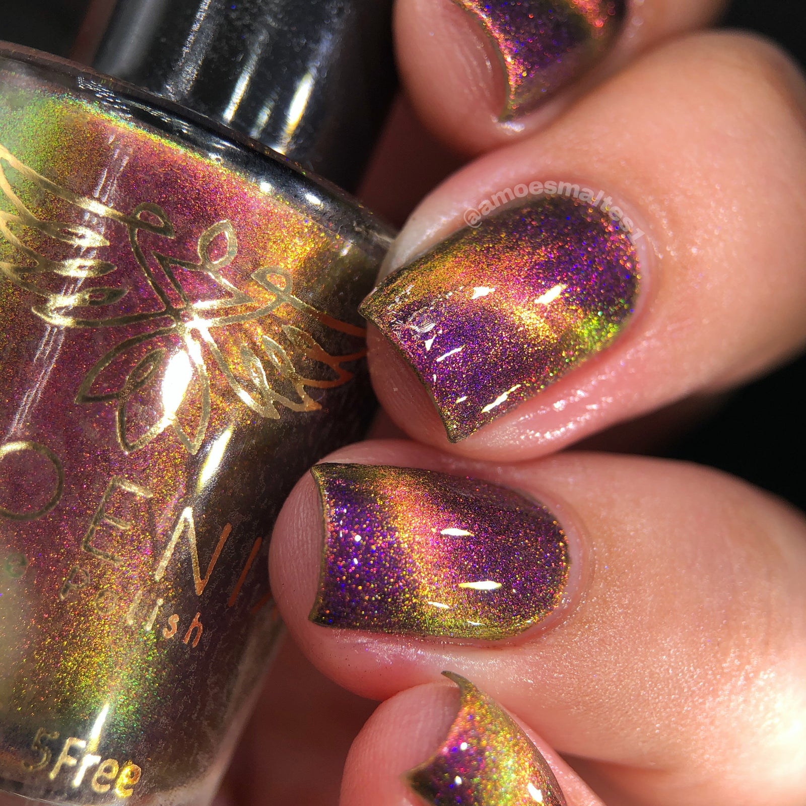 Phoenix- A Special Christmas- For Rocket