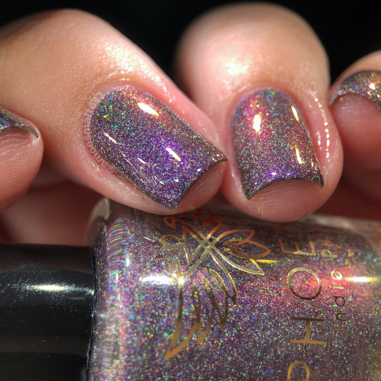 Phoenix- A Special Christmas- Something Special