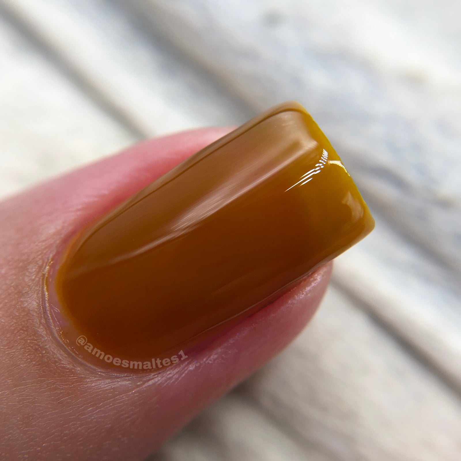 Phoenix- Blood and Fire- Rhaenyra