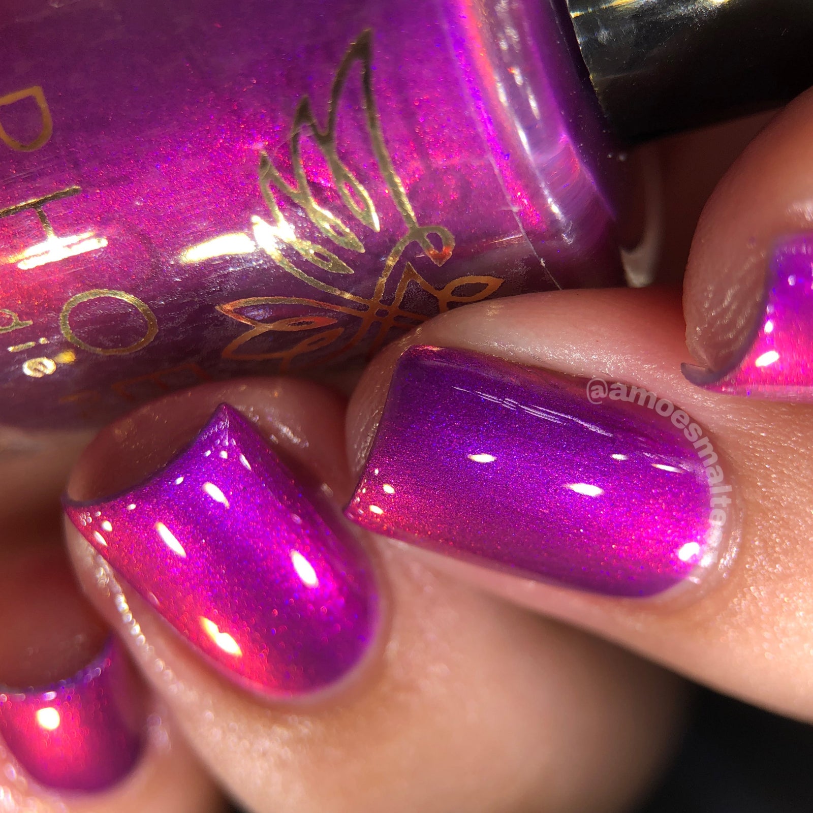 Phoenix- A Special Christmas- Raise Your Hands